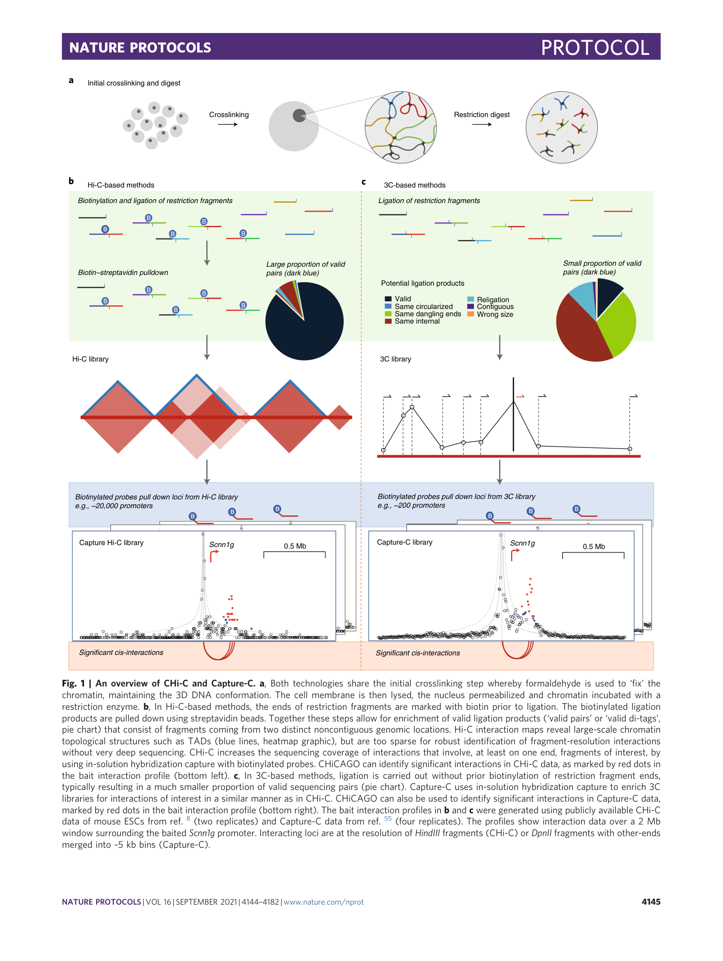 page-2
