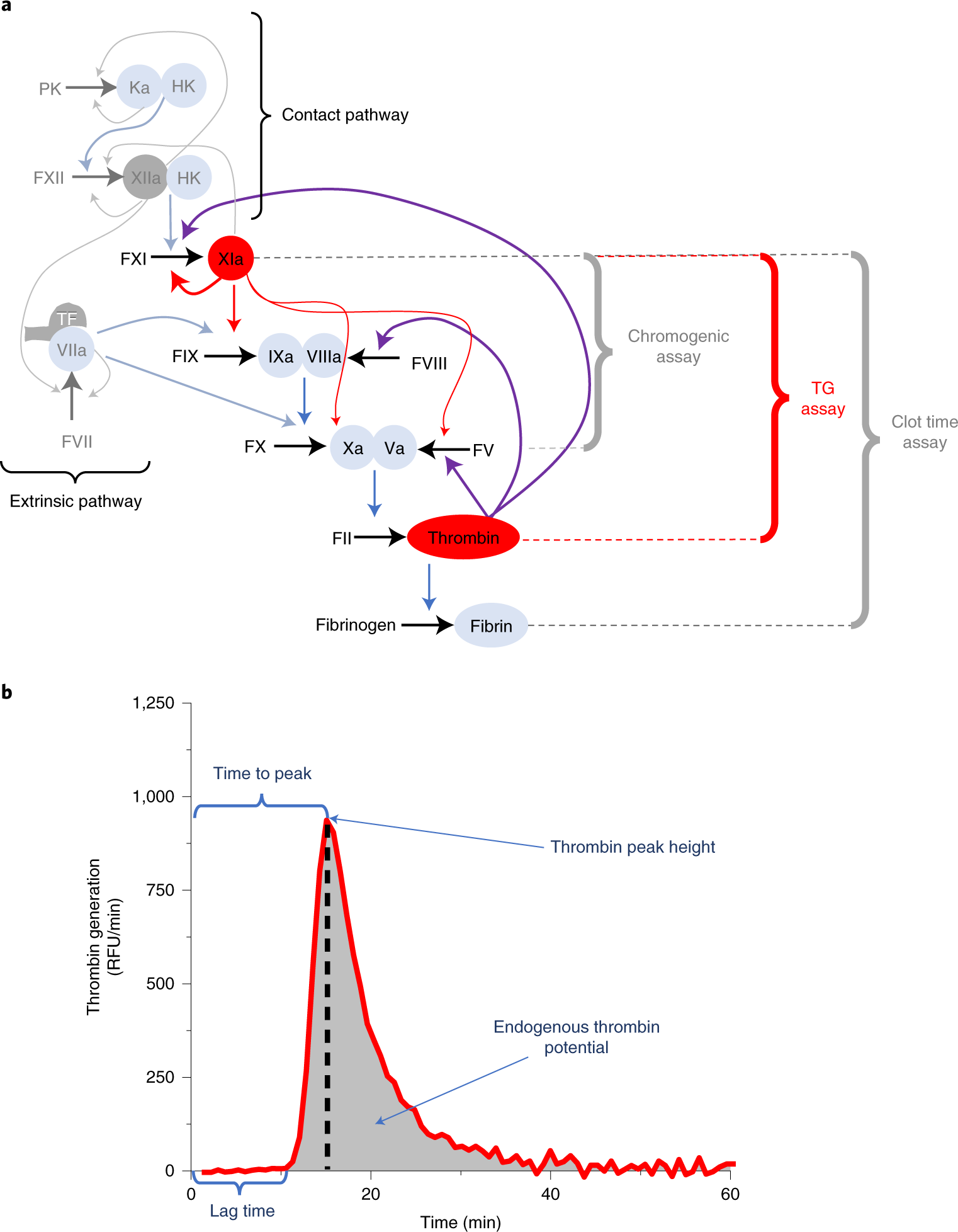 Fig. 1: Overview of TG and TG curve parameters.