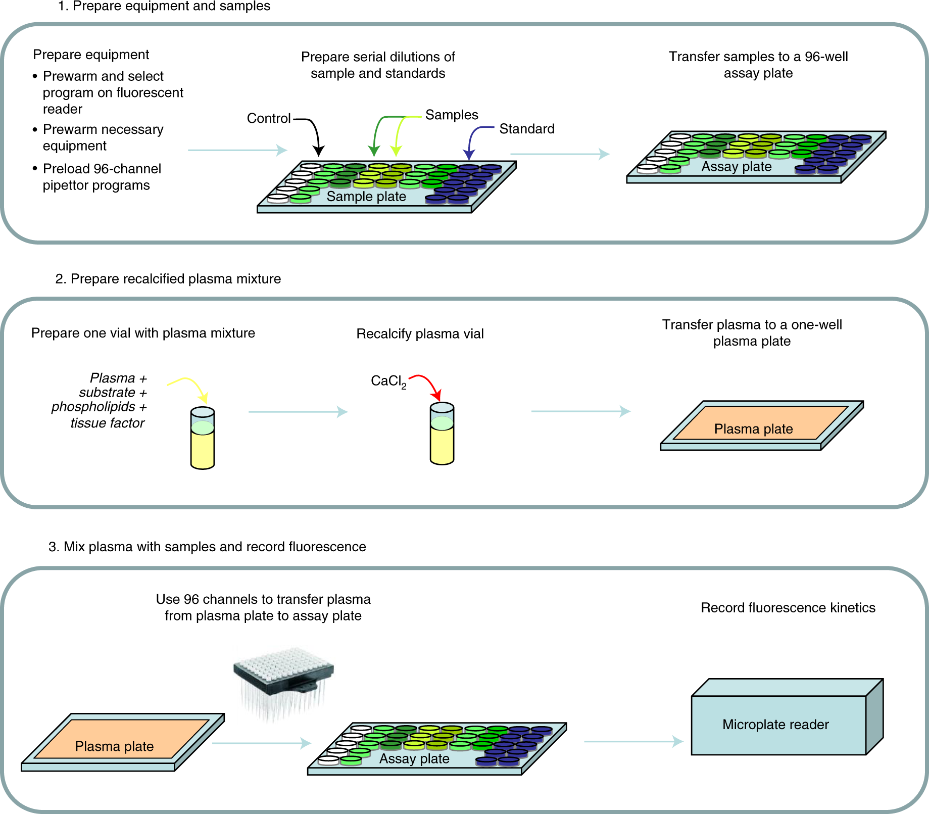Fig. 2: Experimental workflow.
