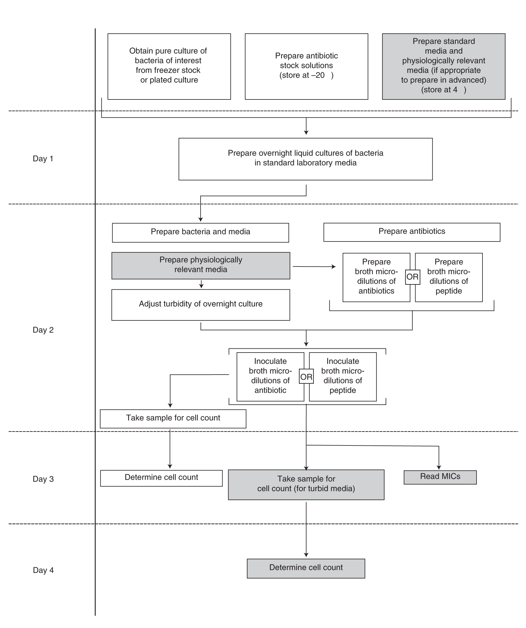 Fig. 1: Simplified schematic of broth microdilution MIC assay using host-mimicking media.