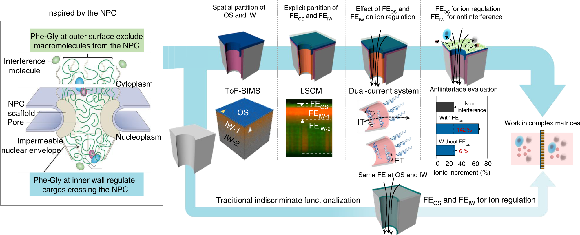 Fig. 1: FEOS and FEIW functionalized SSNs can be created and characterized for biosensing applications in complex matrices.