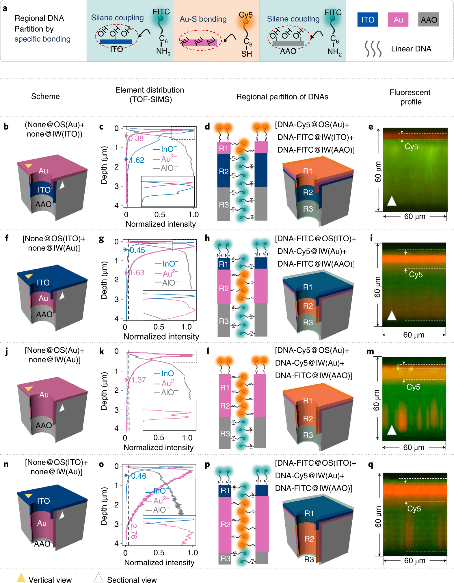 Fig. 2: Explicit spatial partitioning of FEs at the OS of nanochannels (FEOS) and at the IW of nanochannels (FEIW).