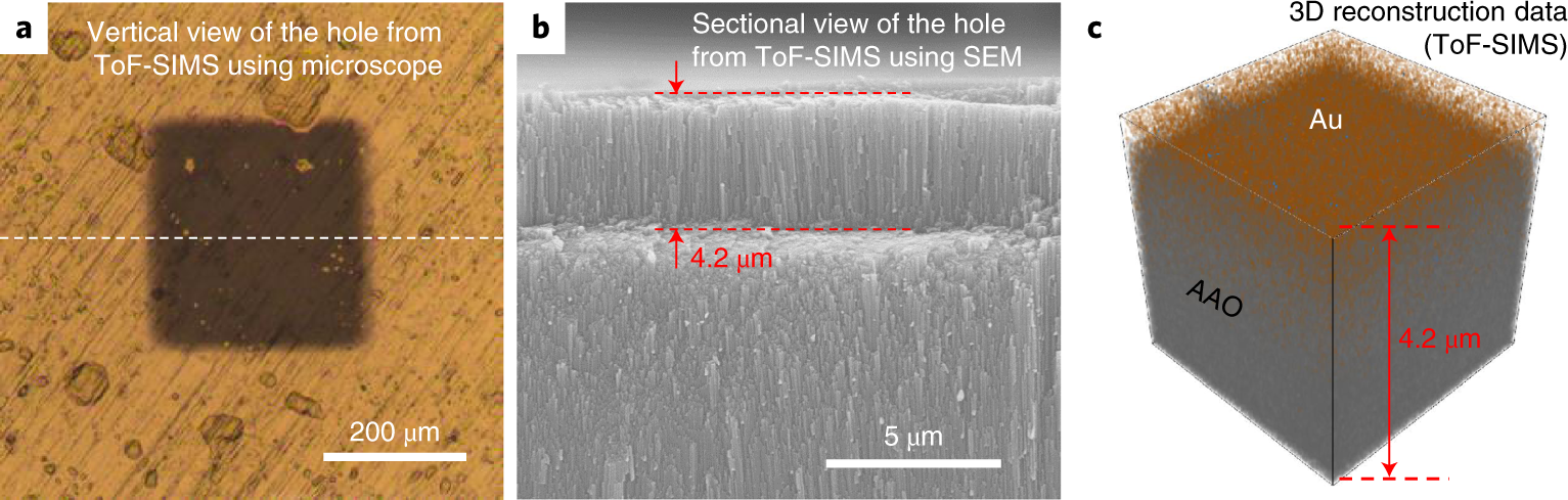 Fig. 3: Depth of IW and OS metal coating of nanochannels characterized by ToF-SIMS.