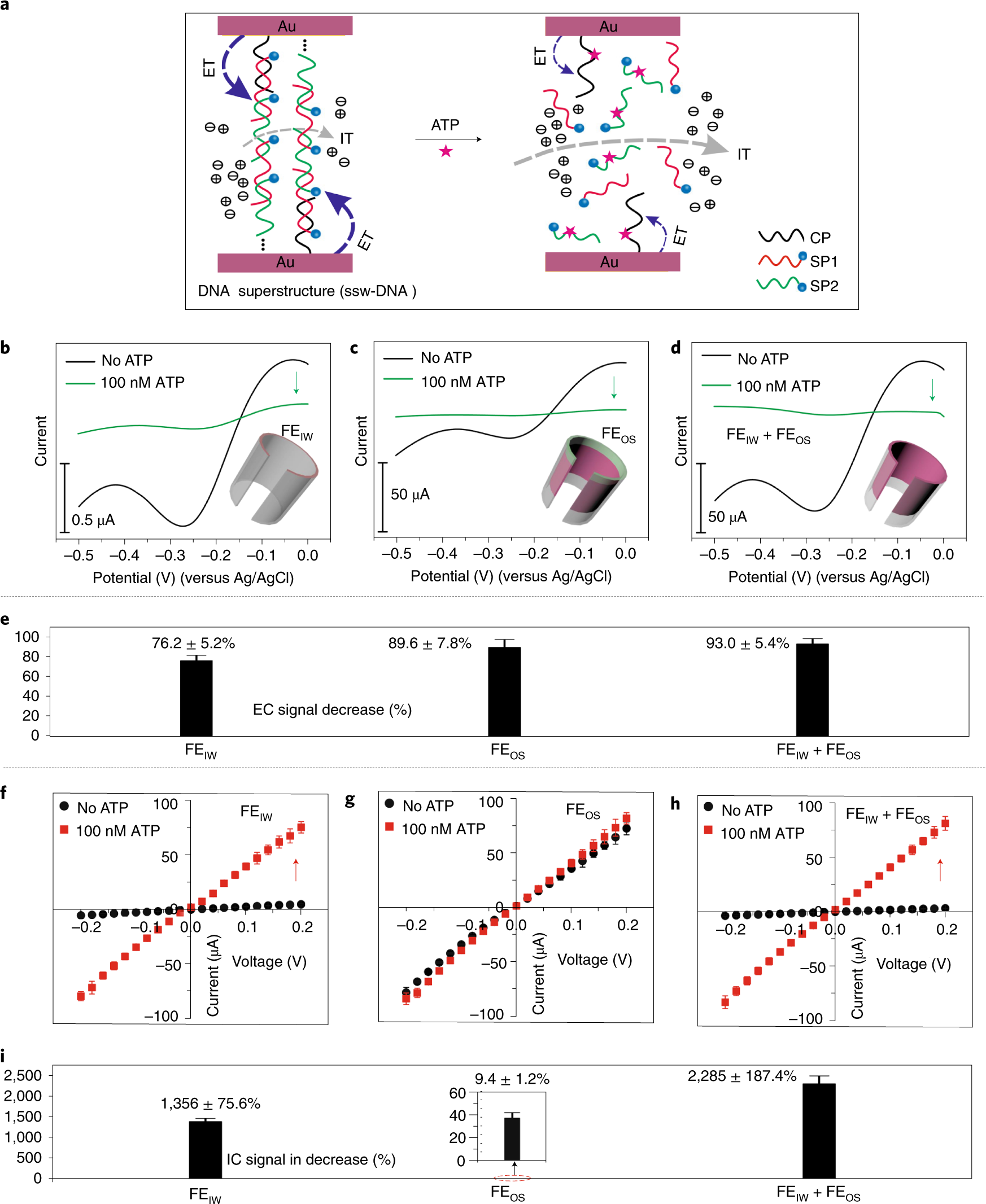 Fig. 5: Highly efficient ion-gating systems using DNA supersandwich as FEs.