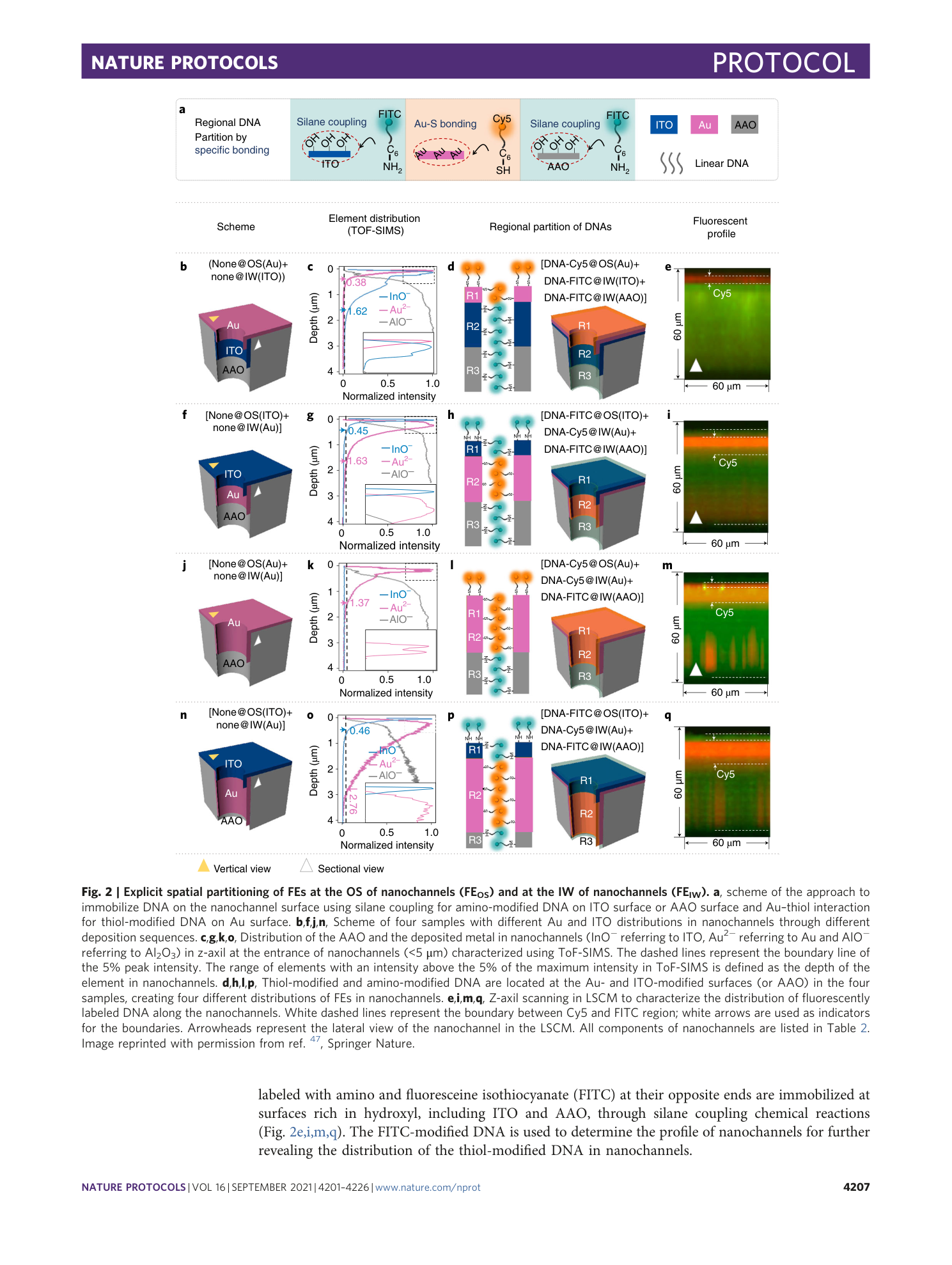 page-7
