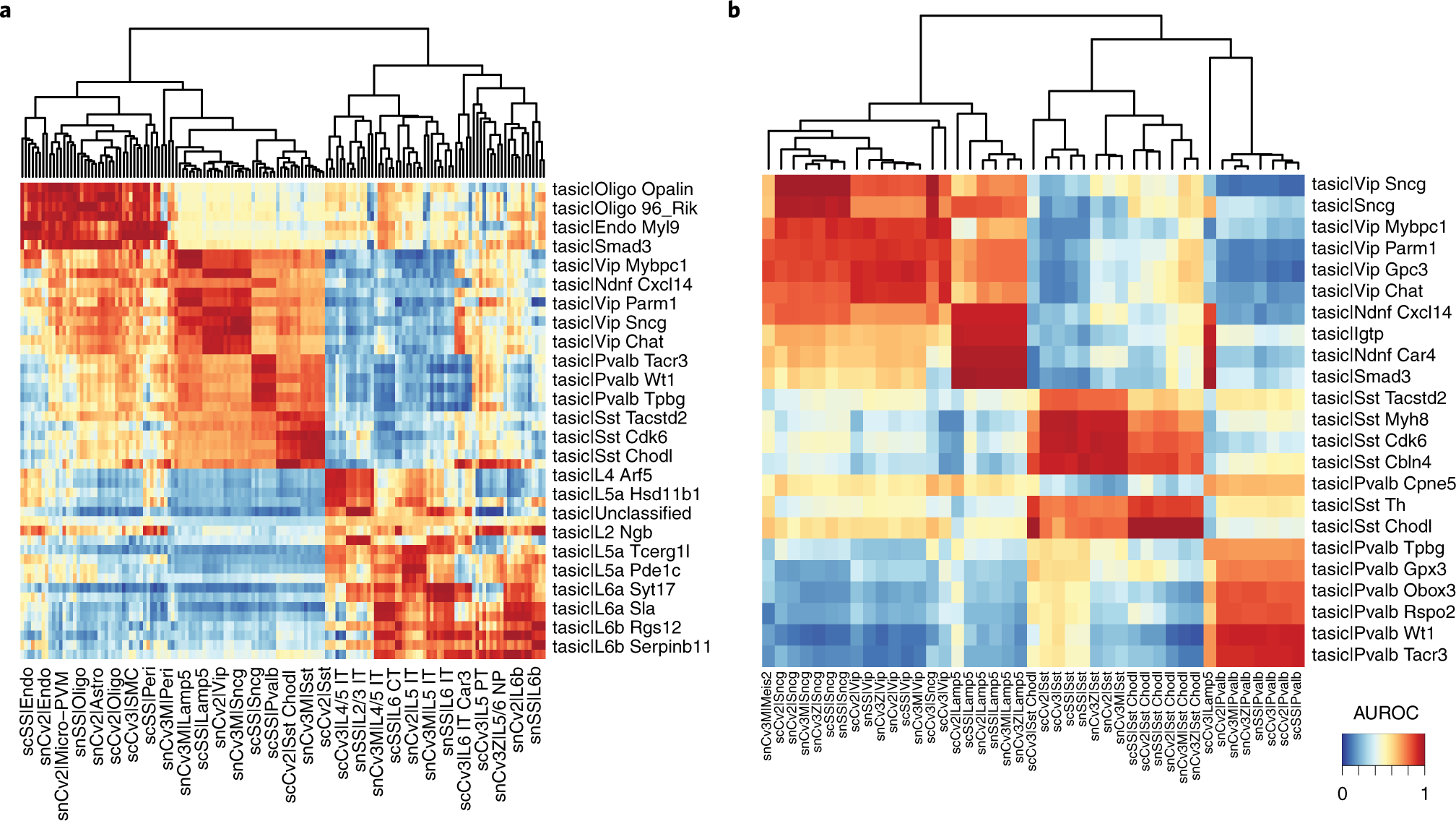 Fig. 6: Assessment of cell-type annotations from the mouse primary visual cortex against reference neuron taxonomy from the primary motor cortex (medium resolution).