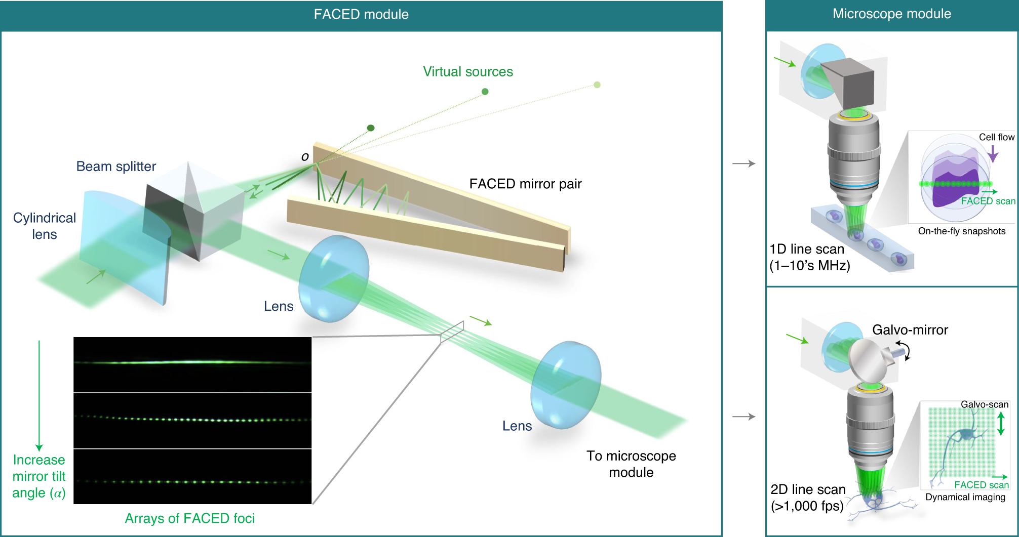 Fig. 1: Overall schematic of a FACED microscope.