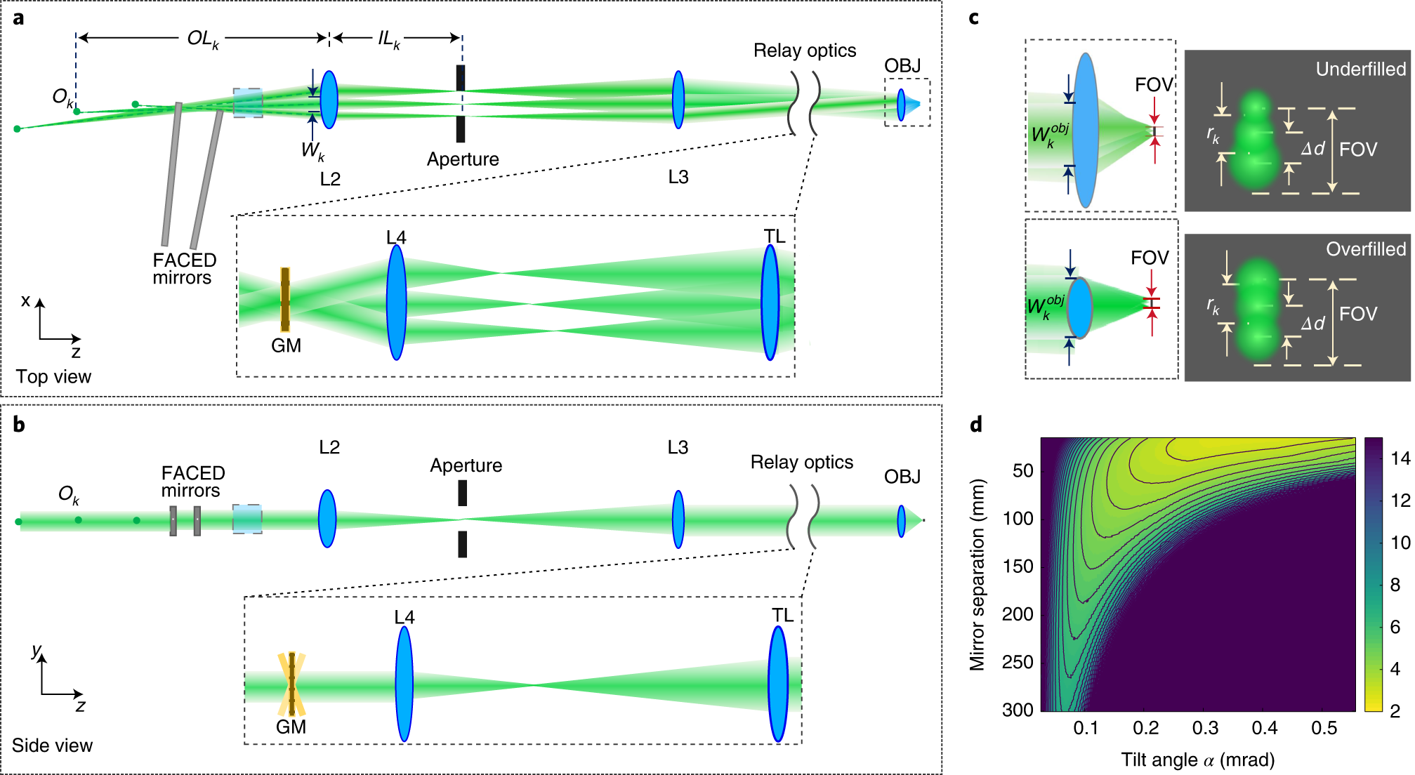 Fig. 3: Design considerations for FACED imaging.