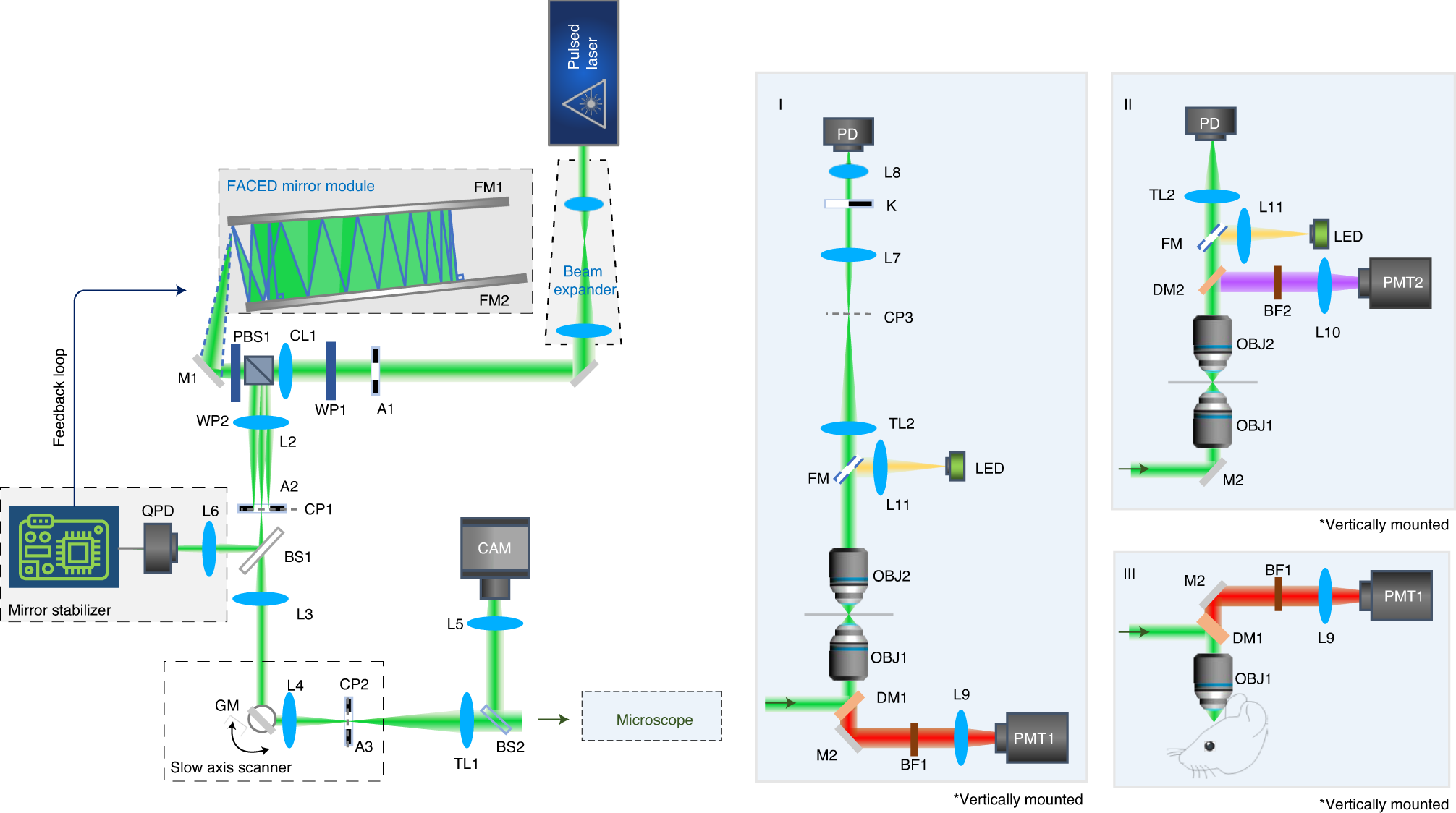 Fig. 6: Schematics of the FACED imaging system of three different implementations (I) (II) and (III).