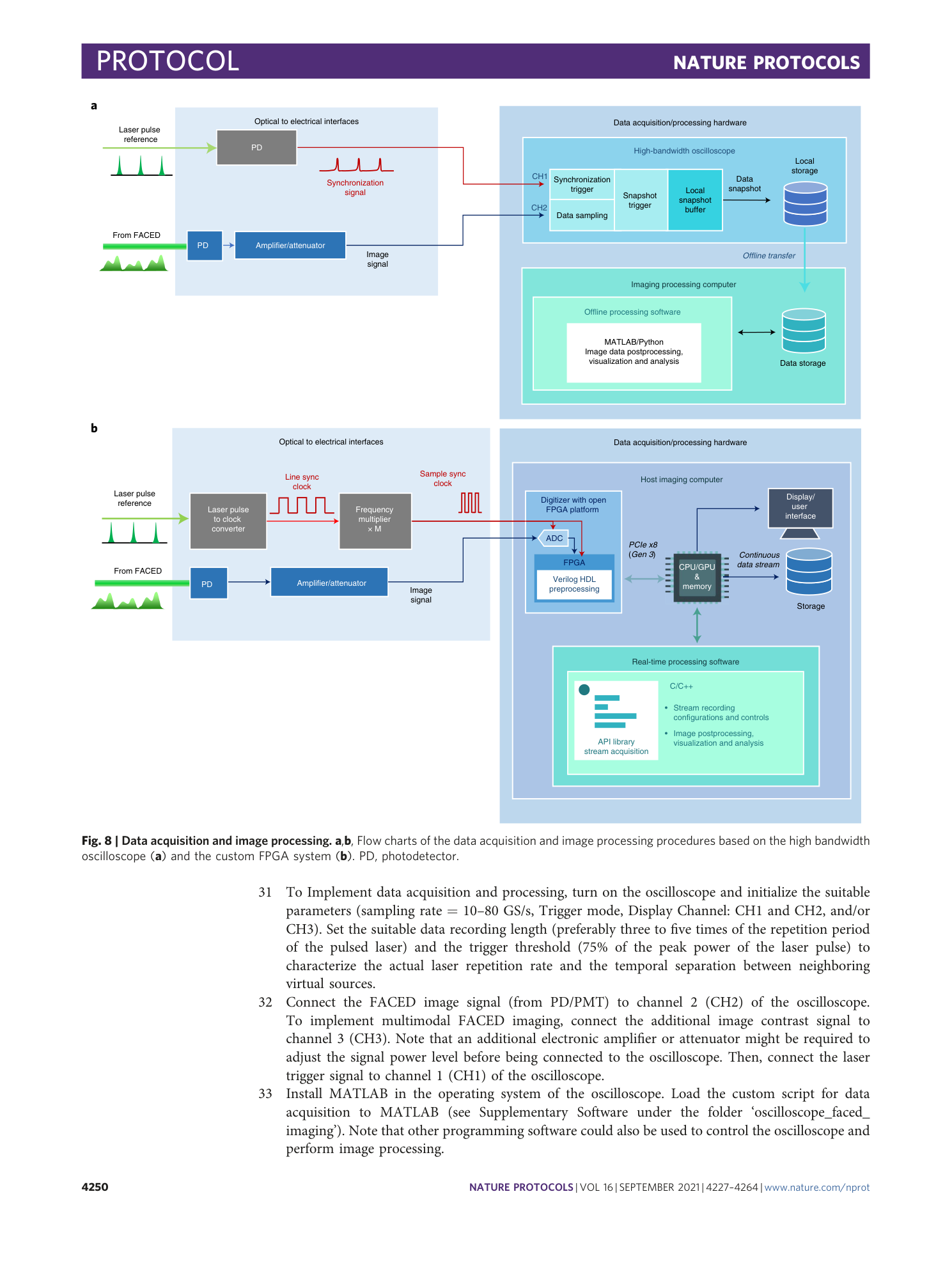 page-24