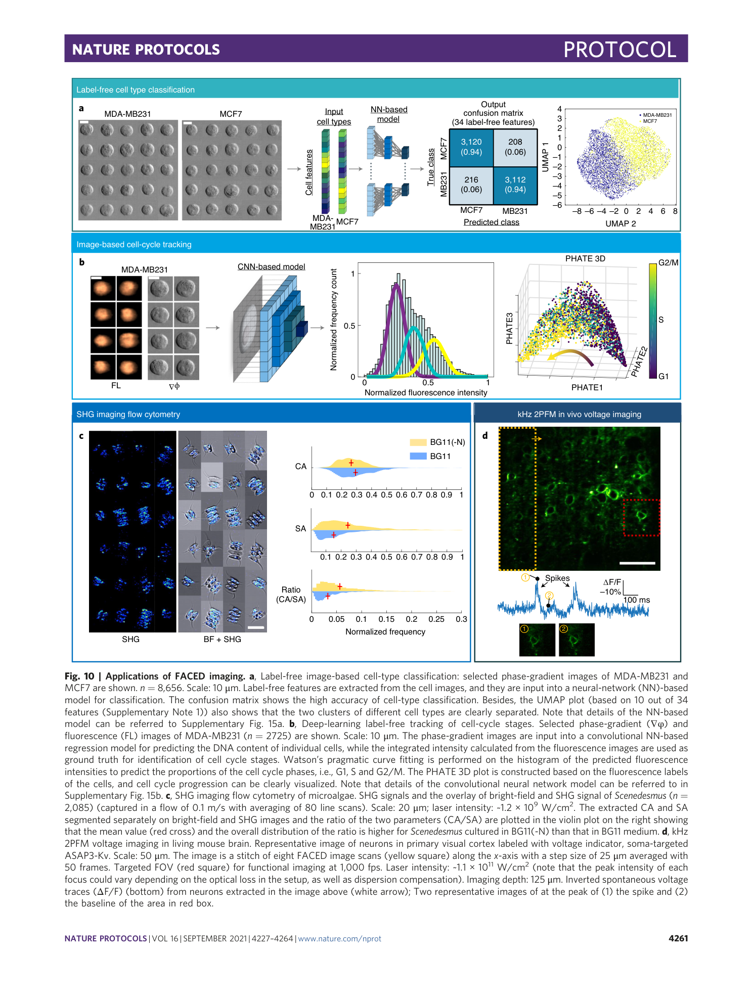 page-35