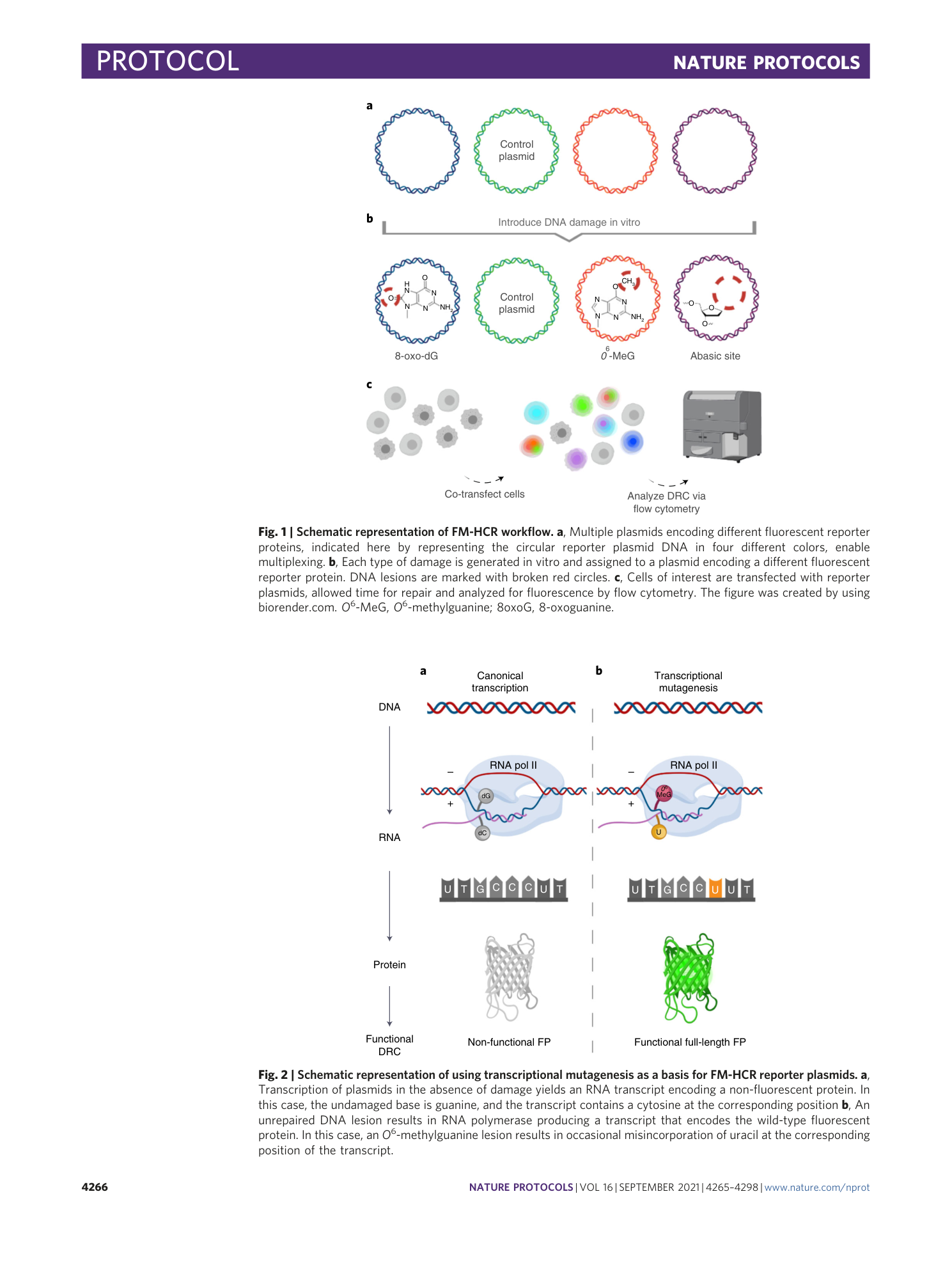 page-2