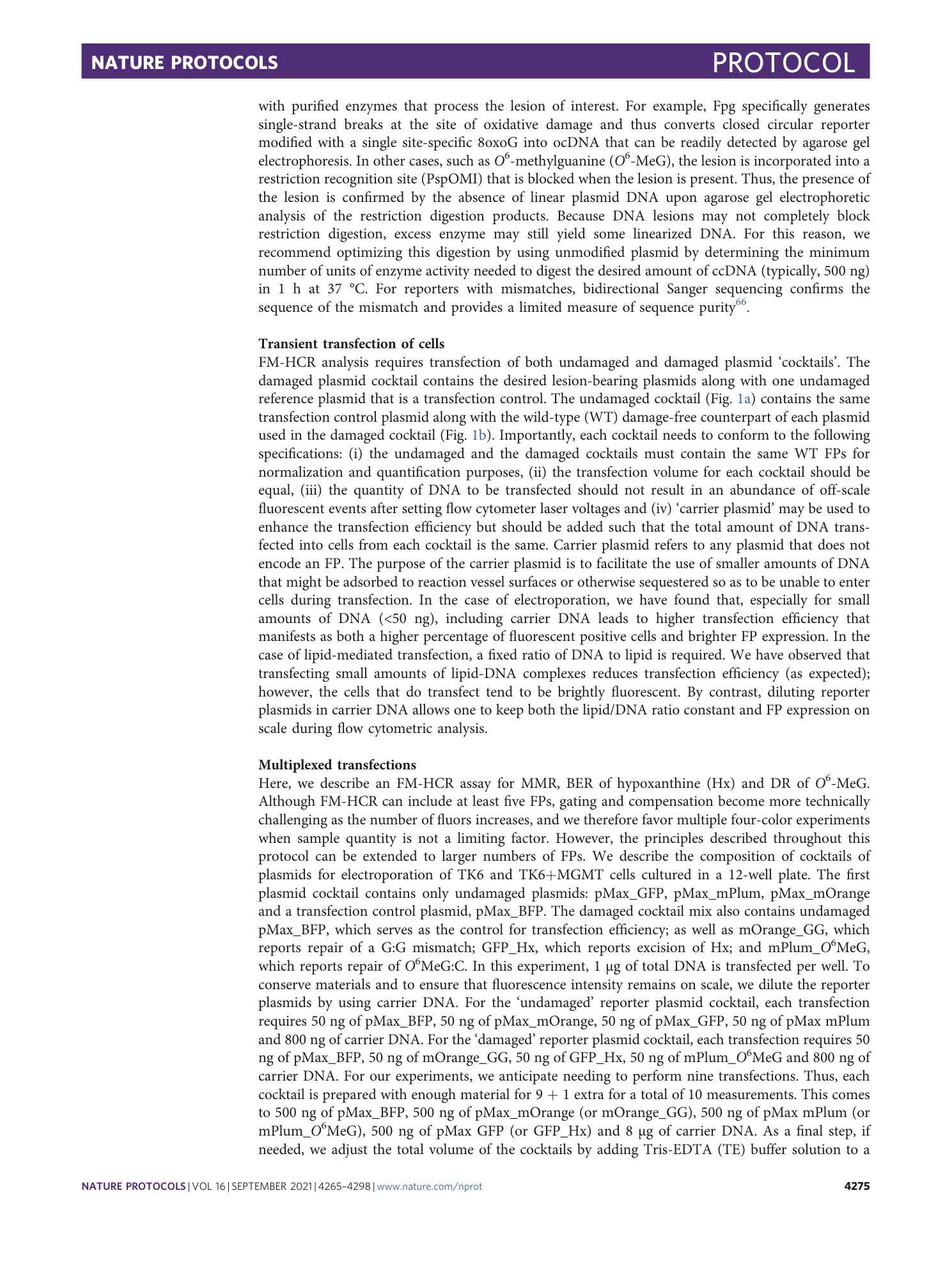 page-11