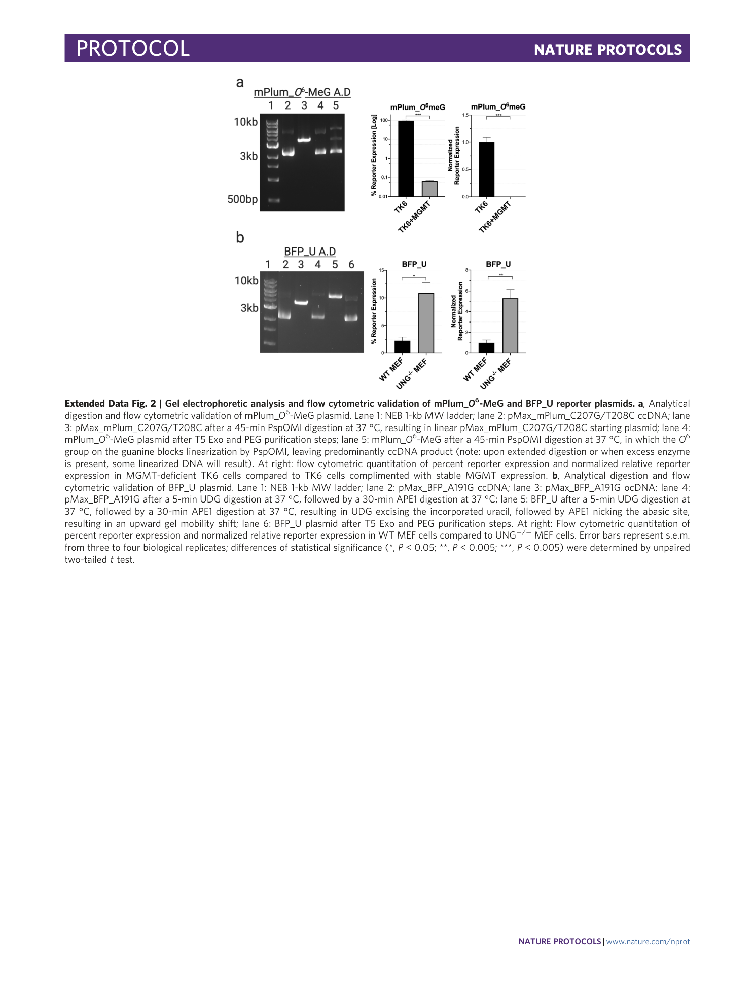 page-36