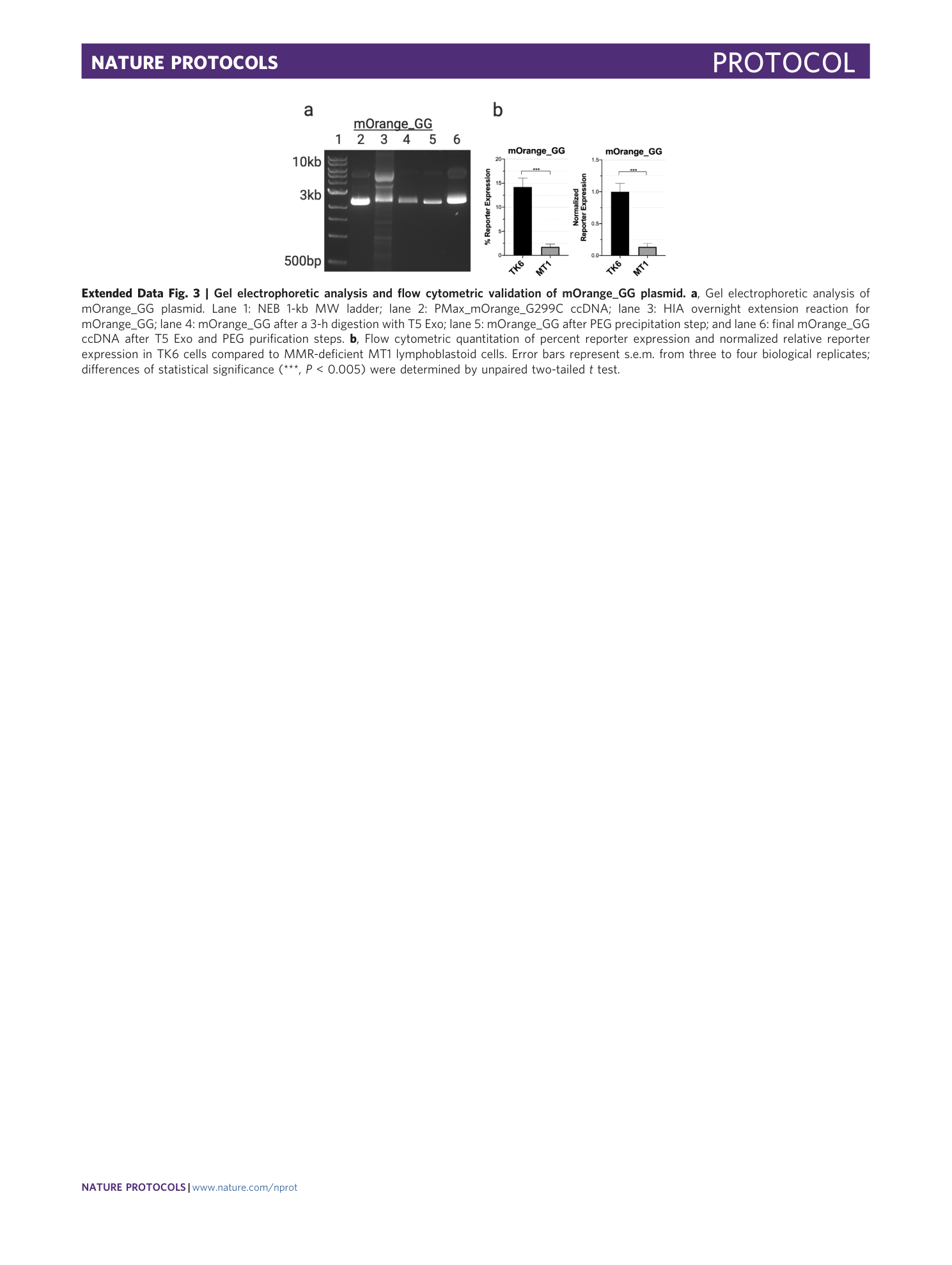 page-37