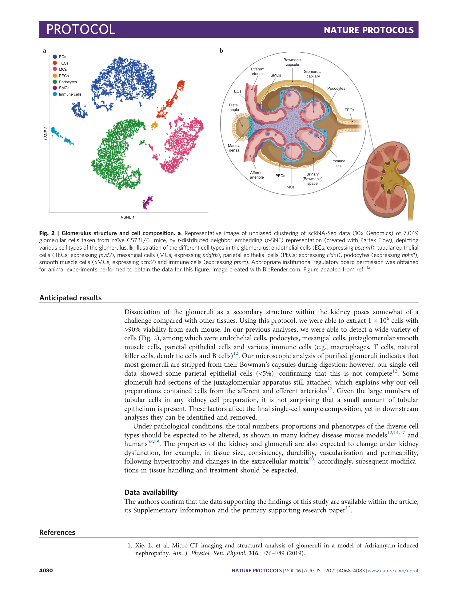 page-13