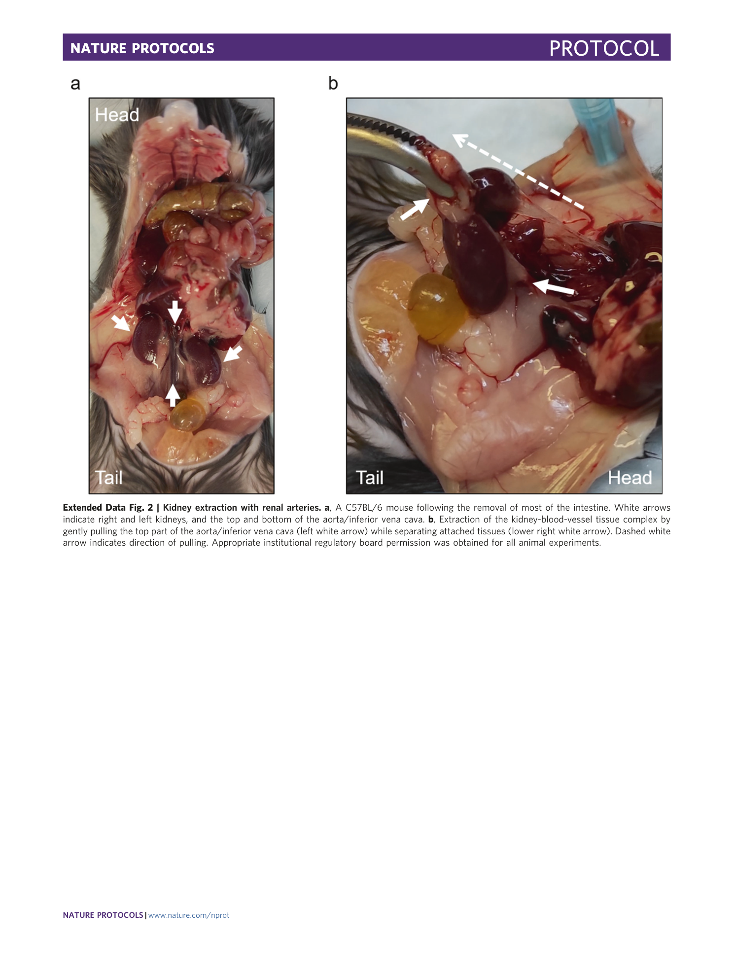 page-18