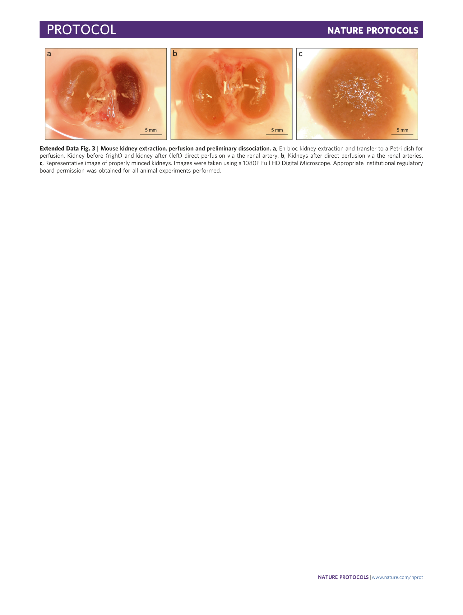 page-19
