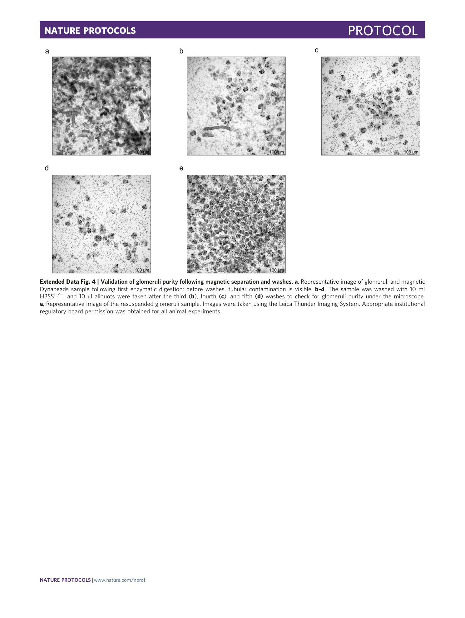 page-20