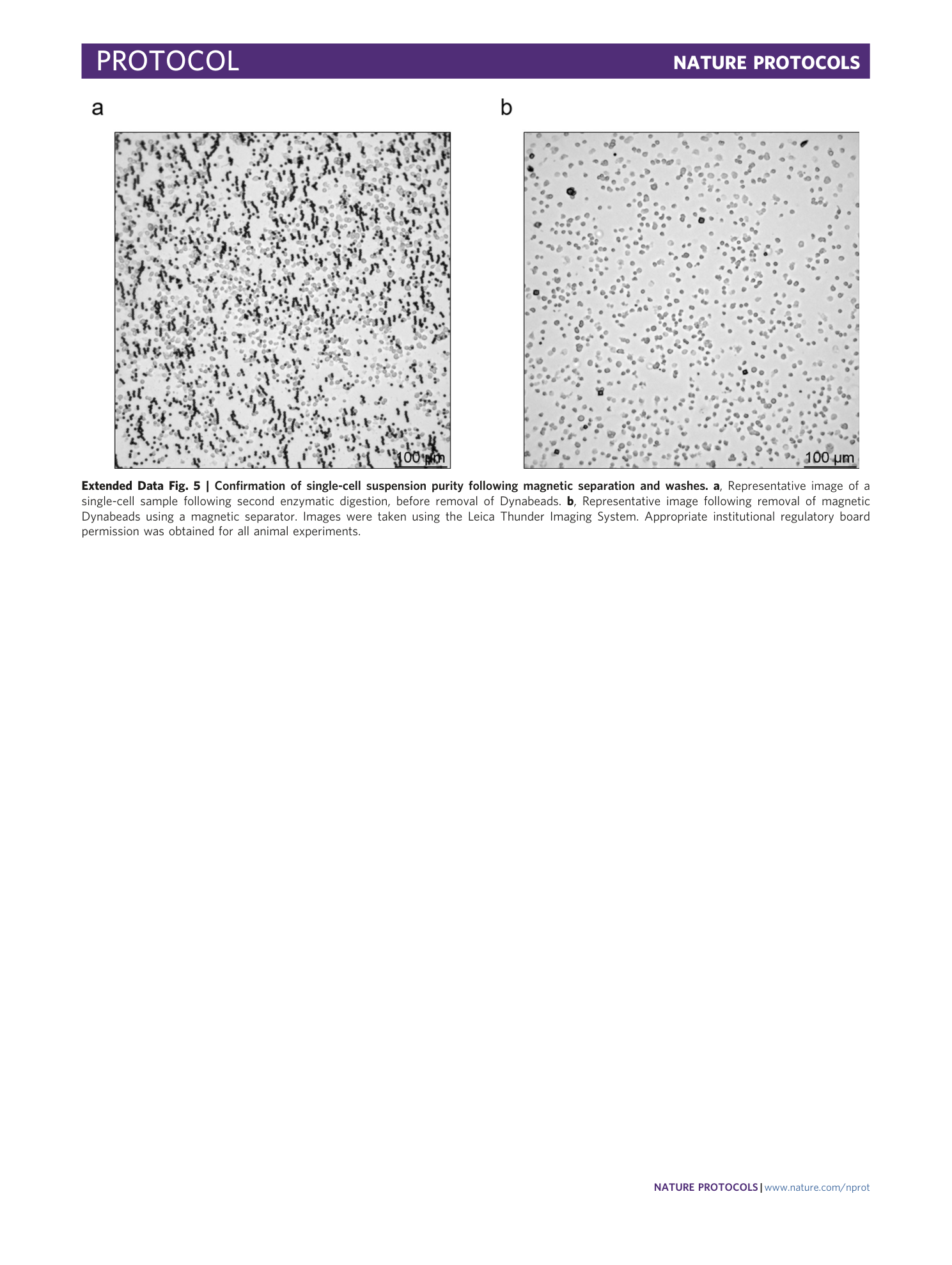 page-21