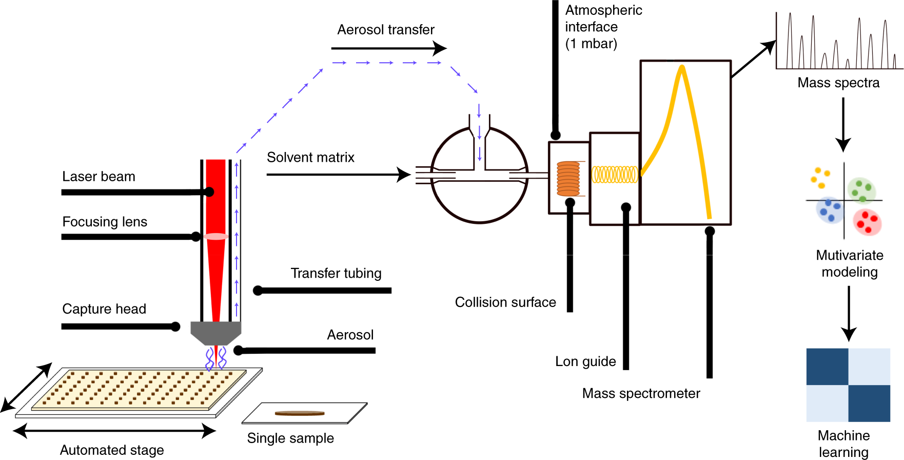 Fig. 1: A schematic representation of the LA-REIMS workflow.