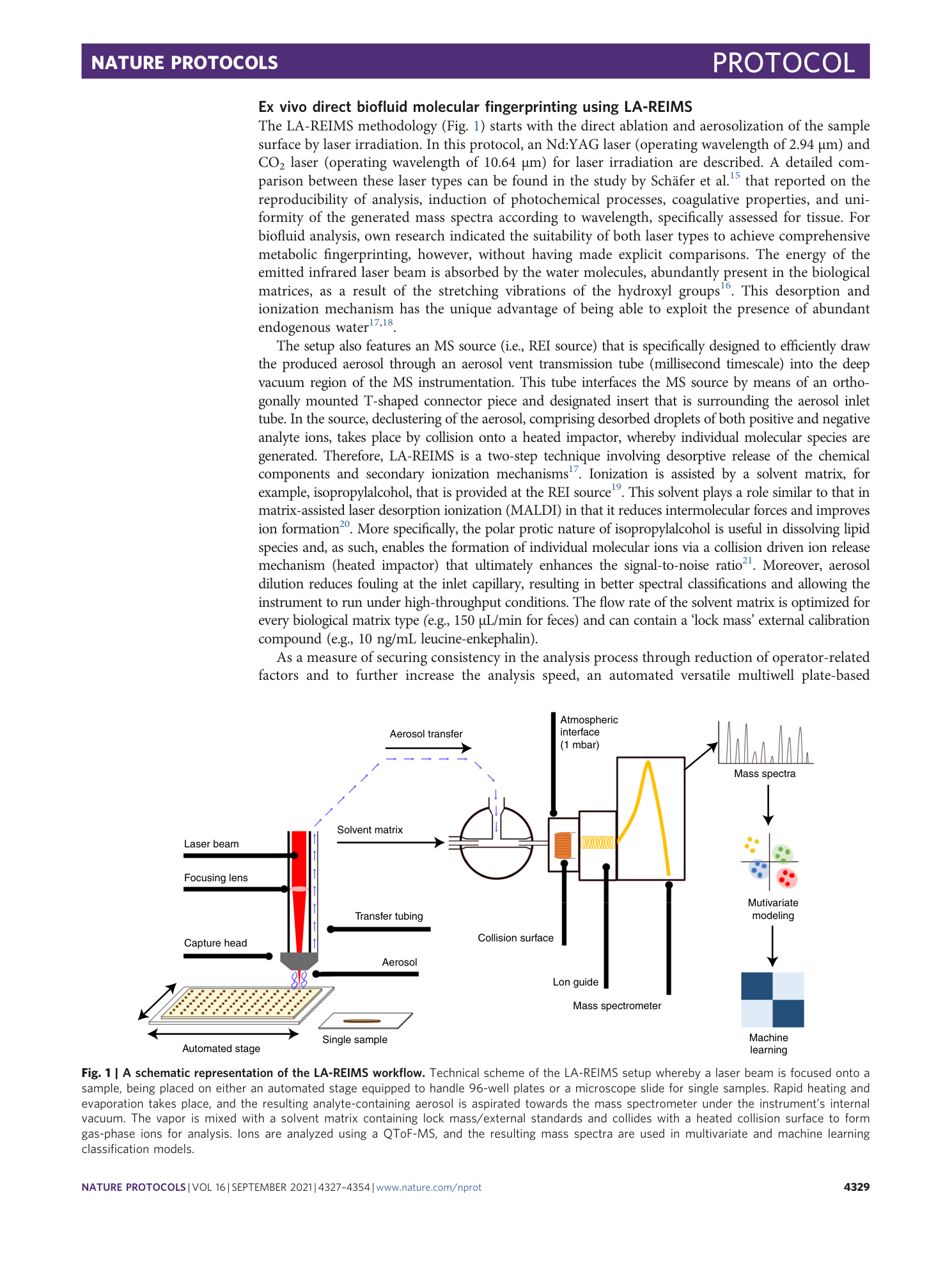 page-3