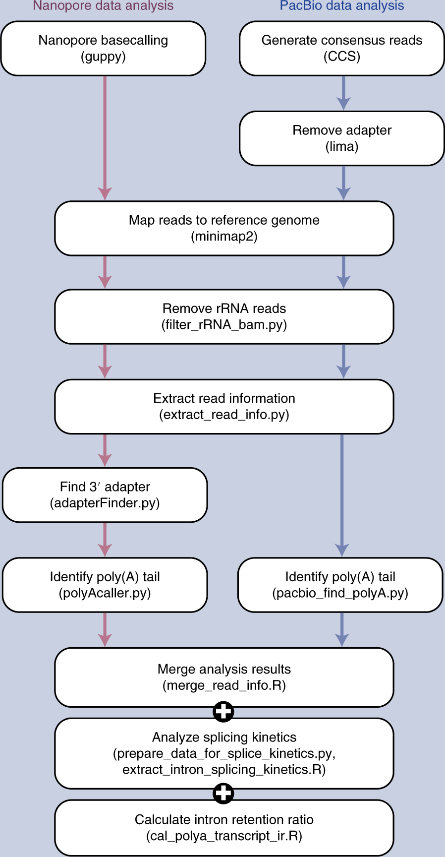Fig. 2: Bioinformatics workflow.