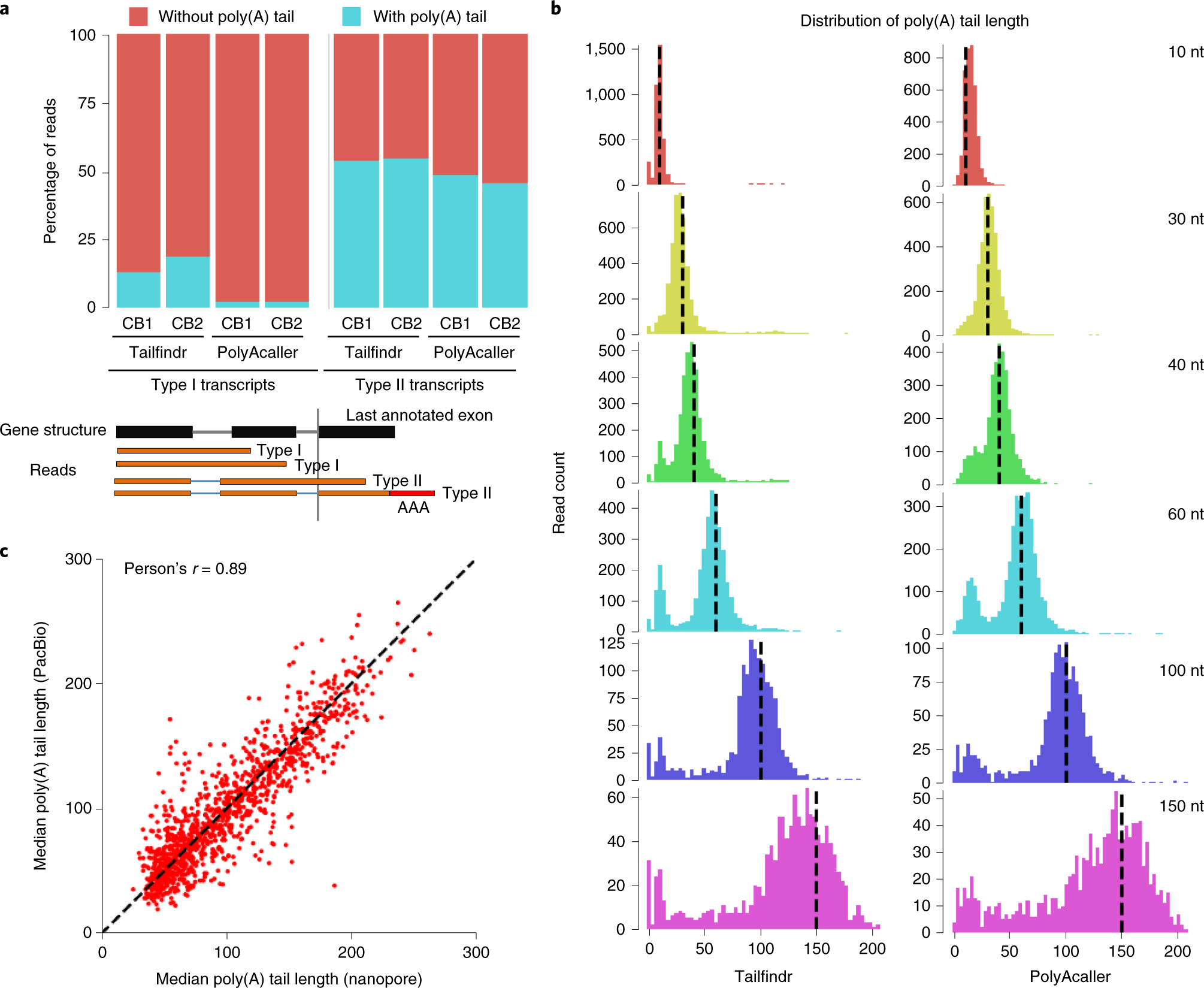 Fig. 9: The performance of PolyAcaller on Nanopore data.