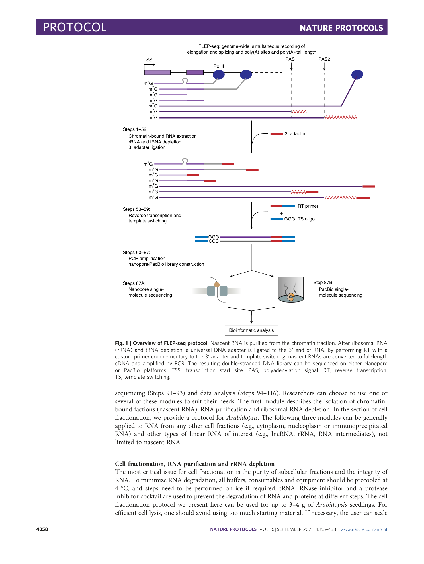 page-4