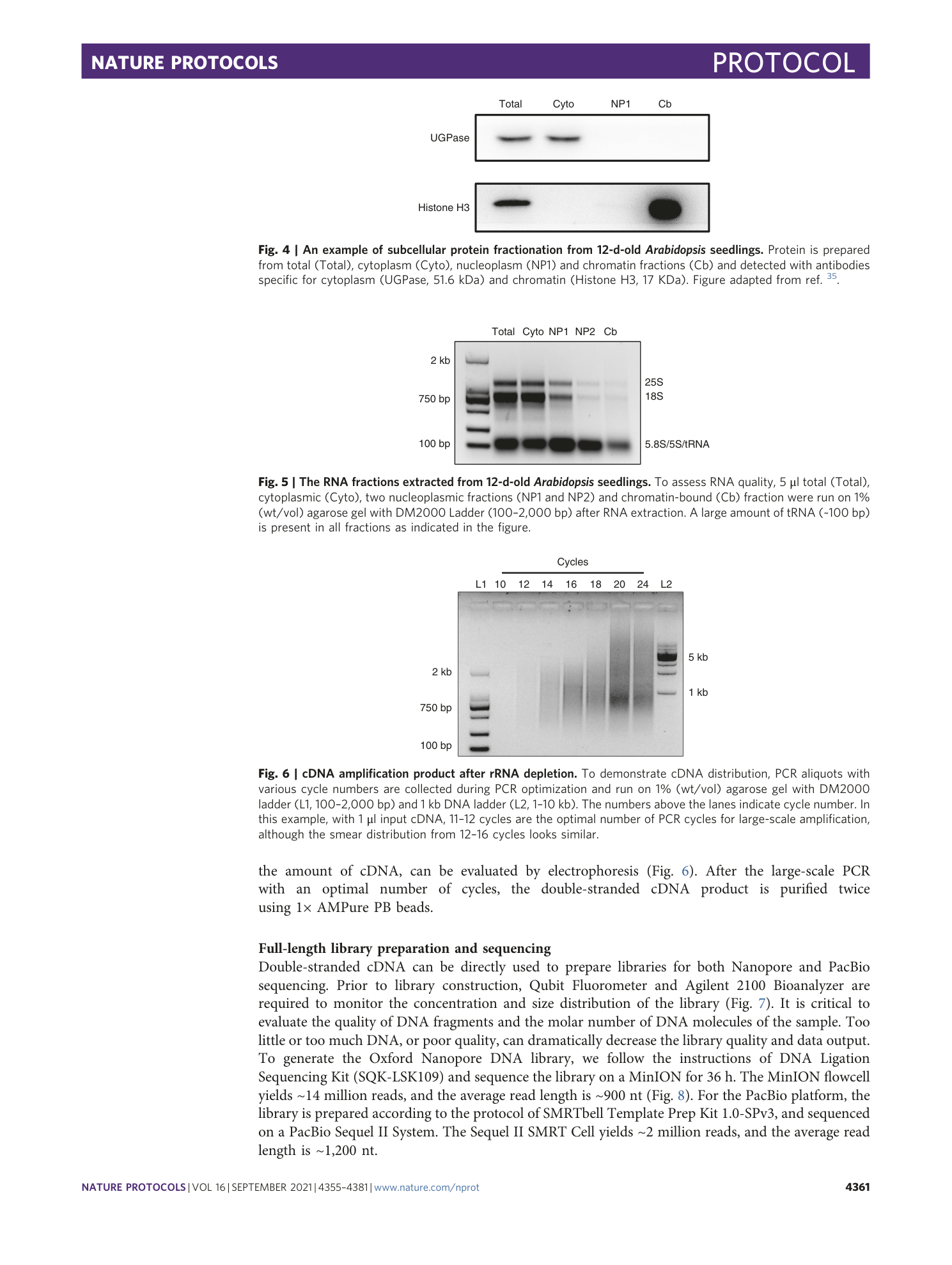 page-7