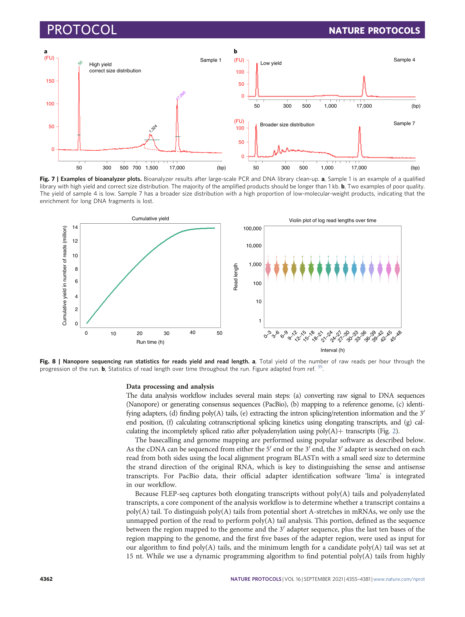 page-8
