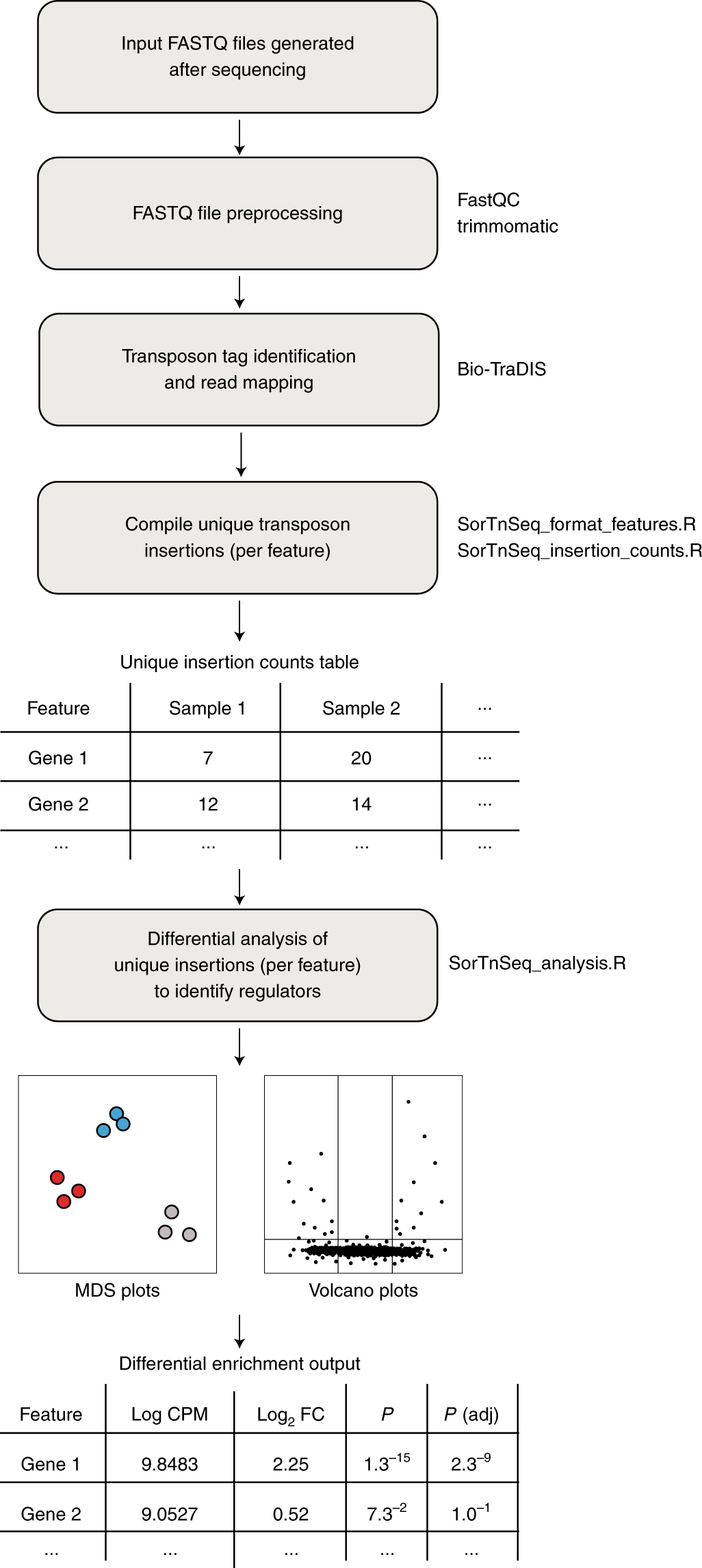 Fig. 4: SorTn-seq data analysis workflow.
