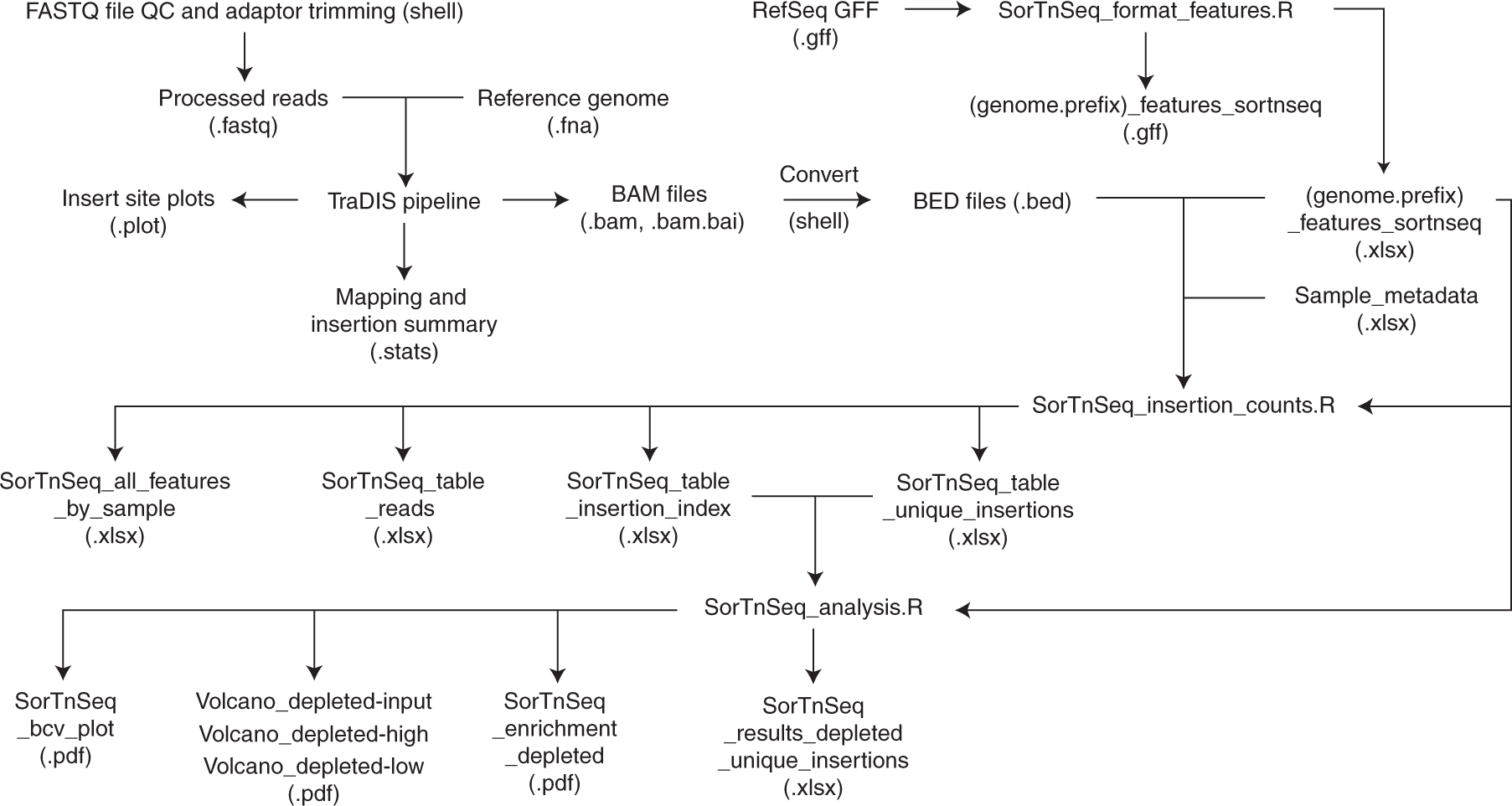 Fig. 8: Summary of input and output files of the SorTn-seq analysis.
