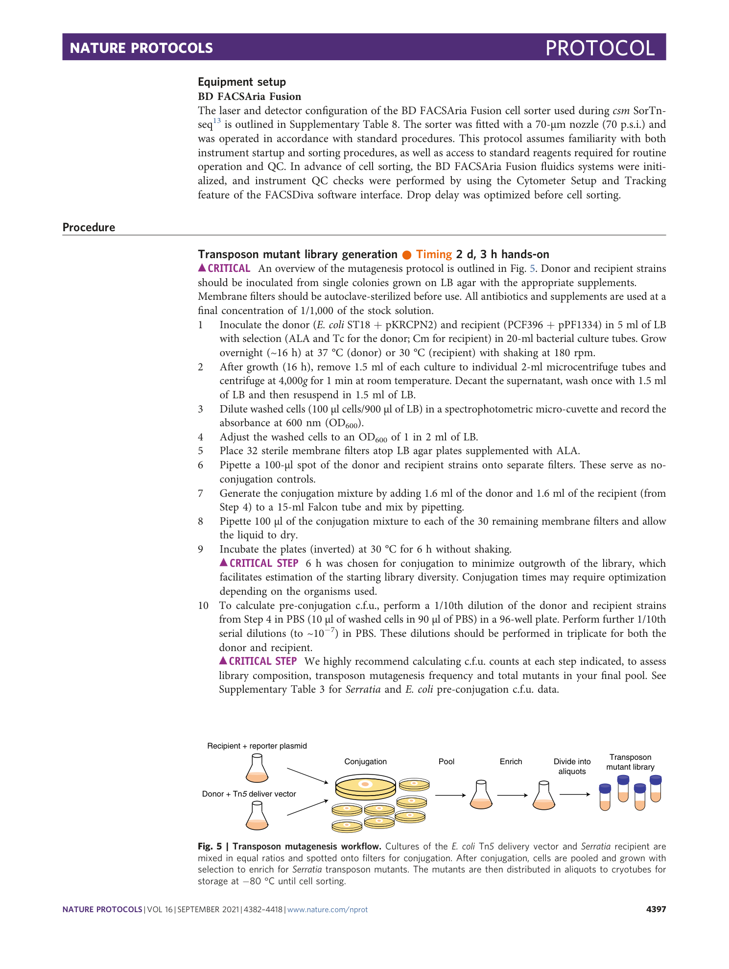 page-16