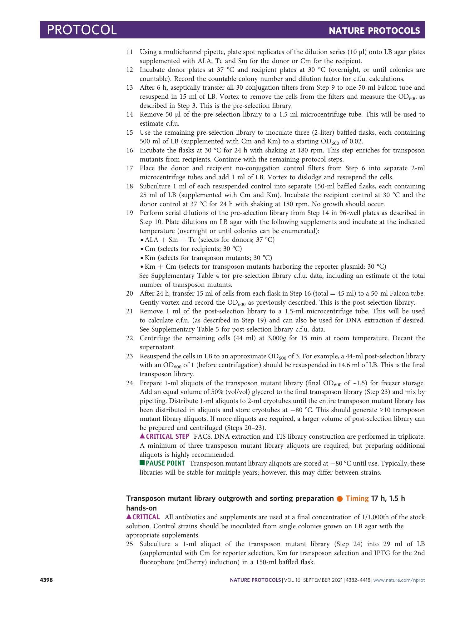 page-17