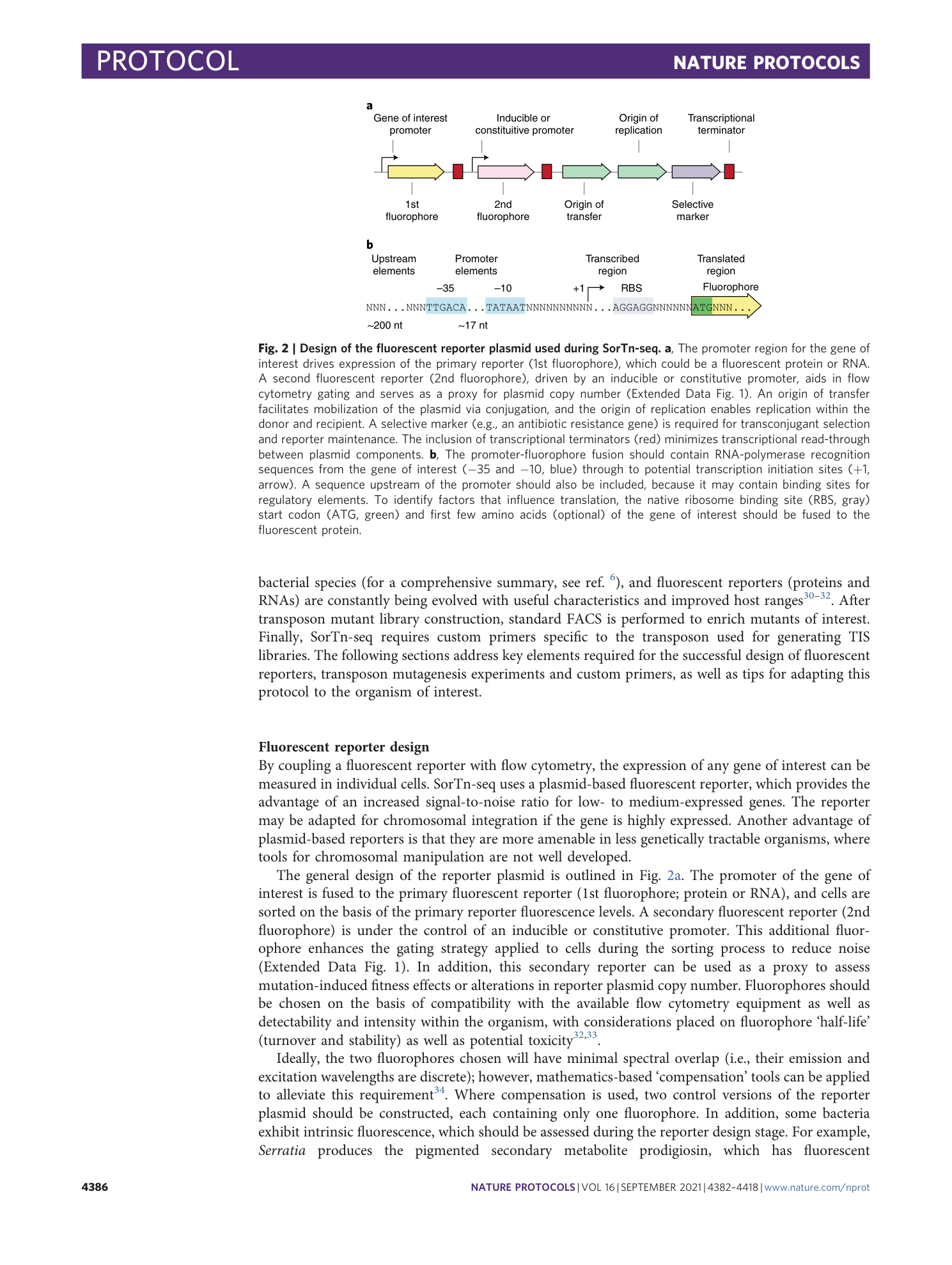 page-5