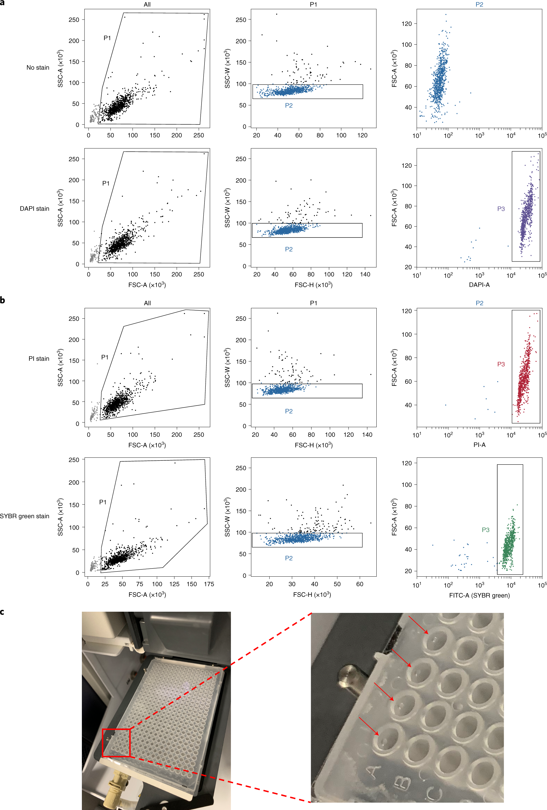 Fig. 3: Single-nucleus/cell isolation using FACS.
