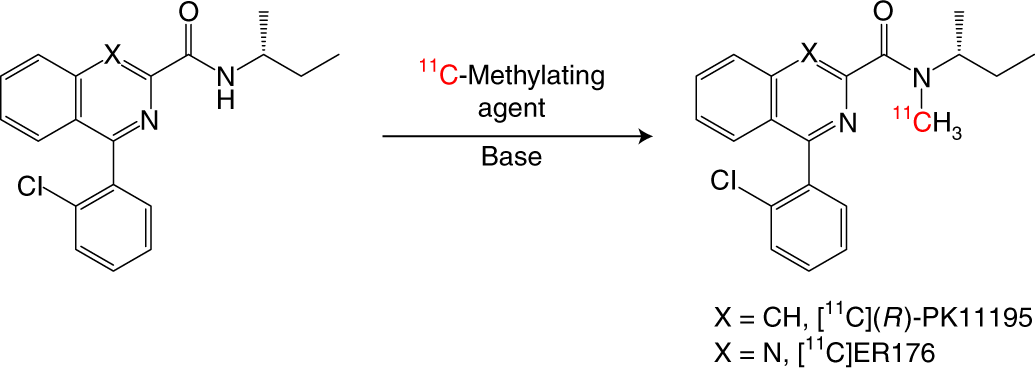Fig. 1: Labeling of the tertiary amido group in (R)-PK11195 and ER176 with carbon-11.