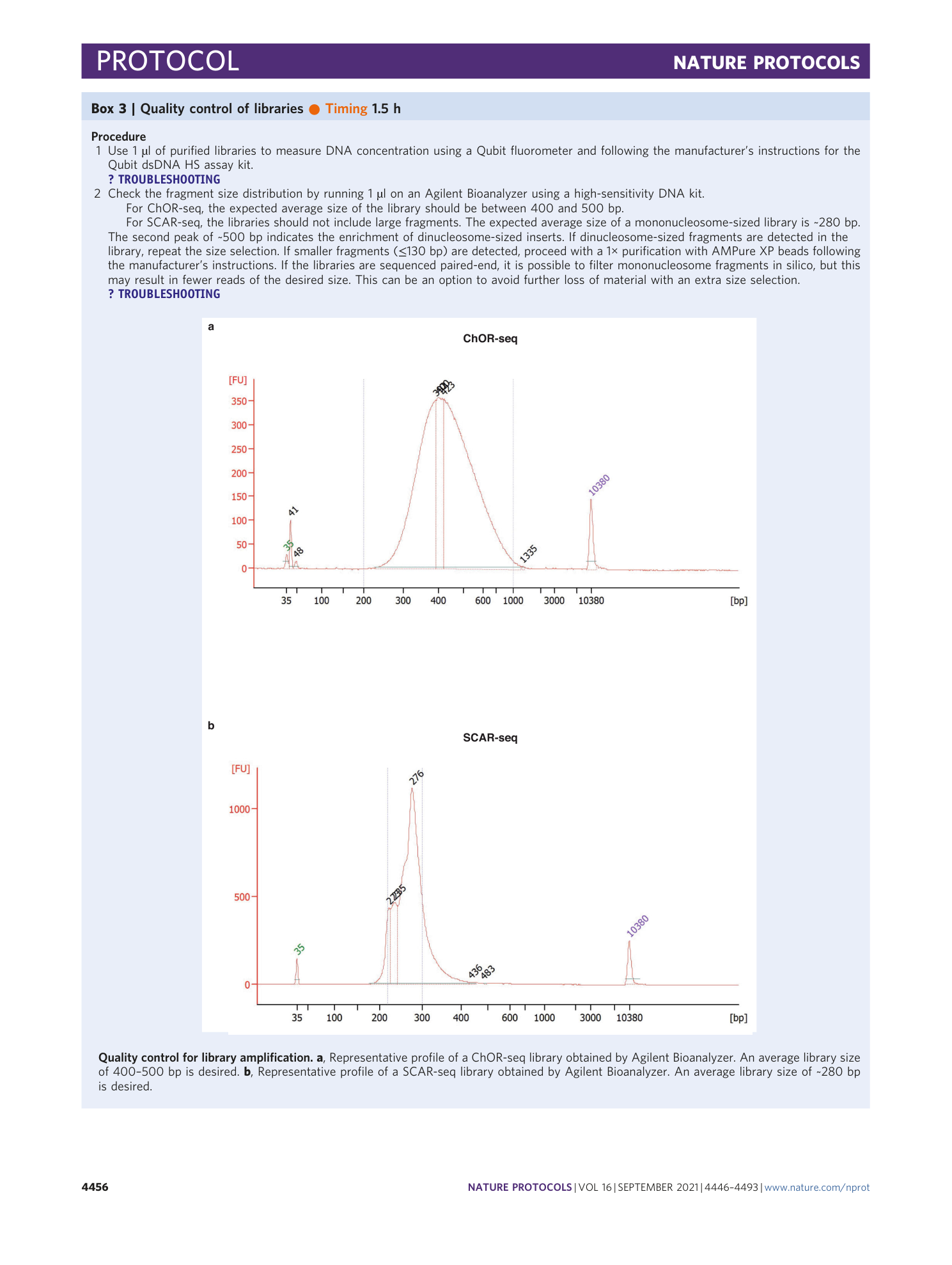page-11