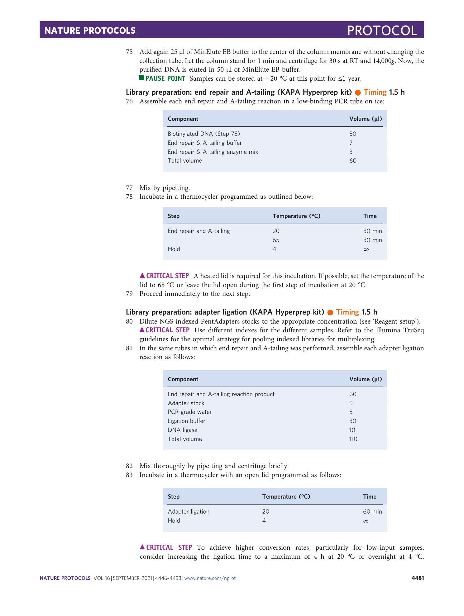 page-36