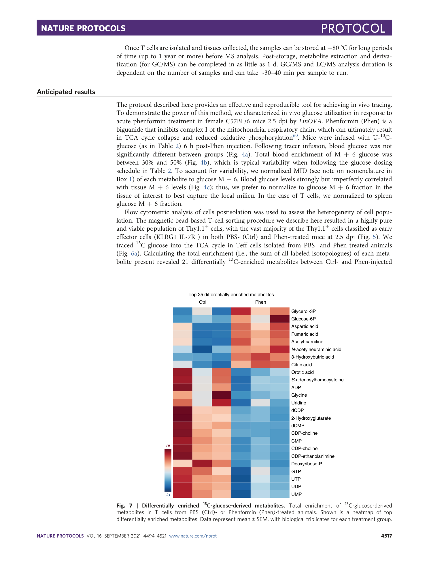 page-24