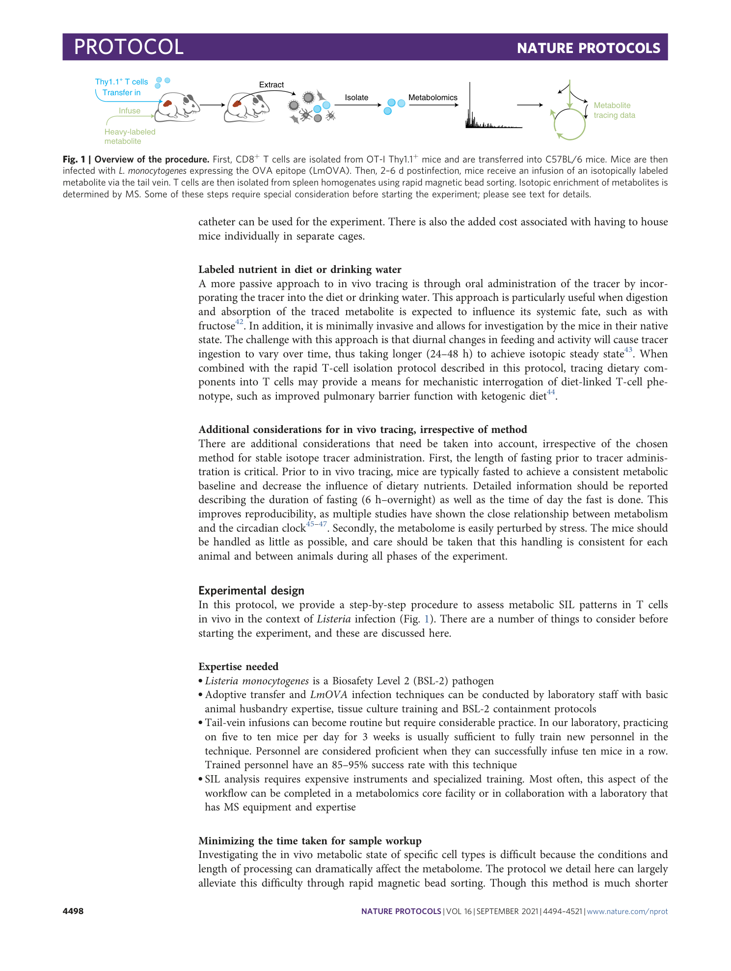 page-5