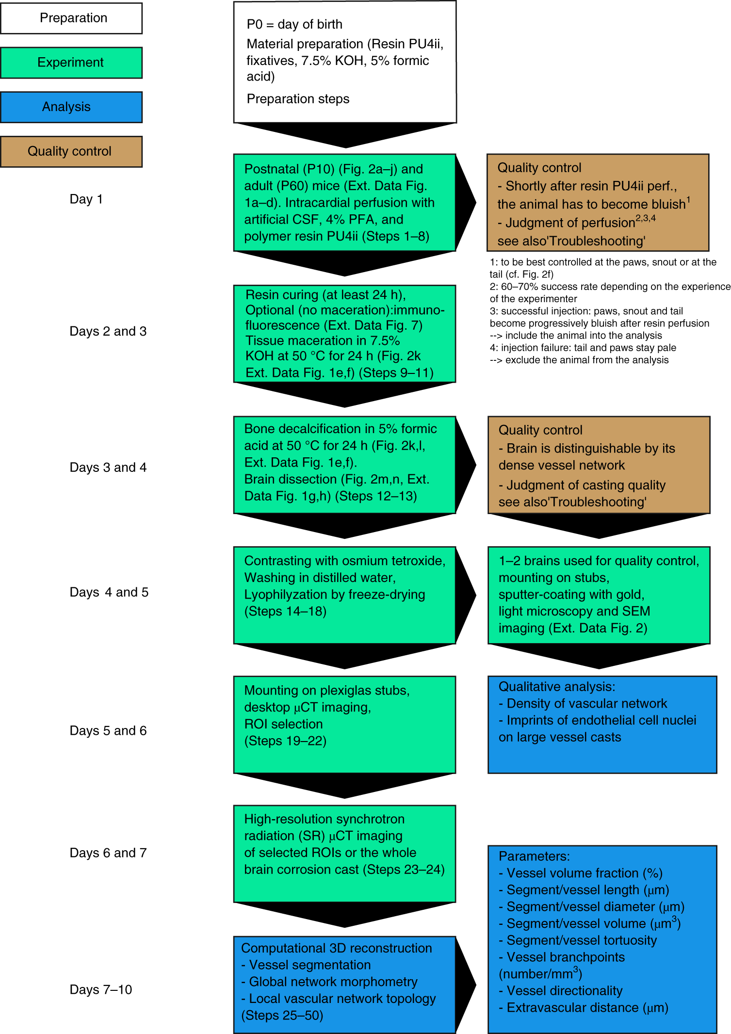 Fig. 1: Flow chart, summary and time frame of the procedure.