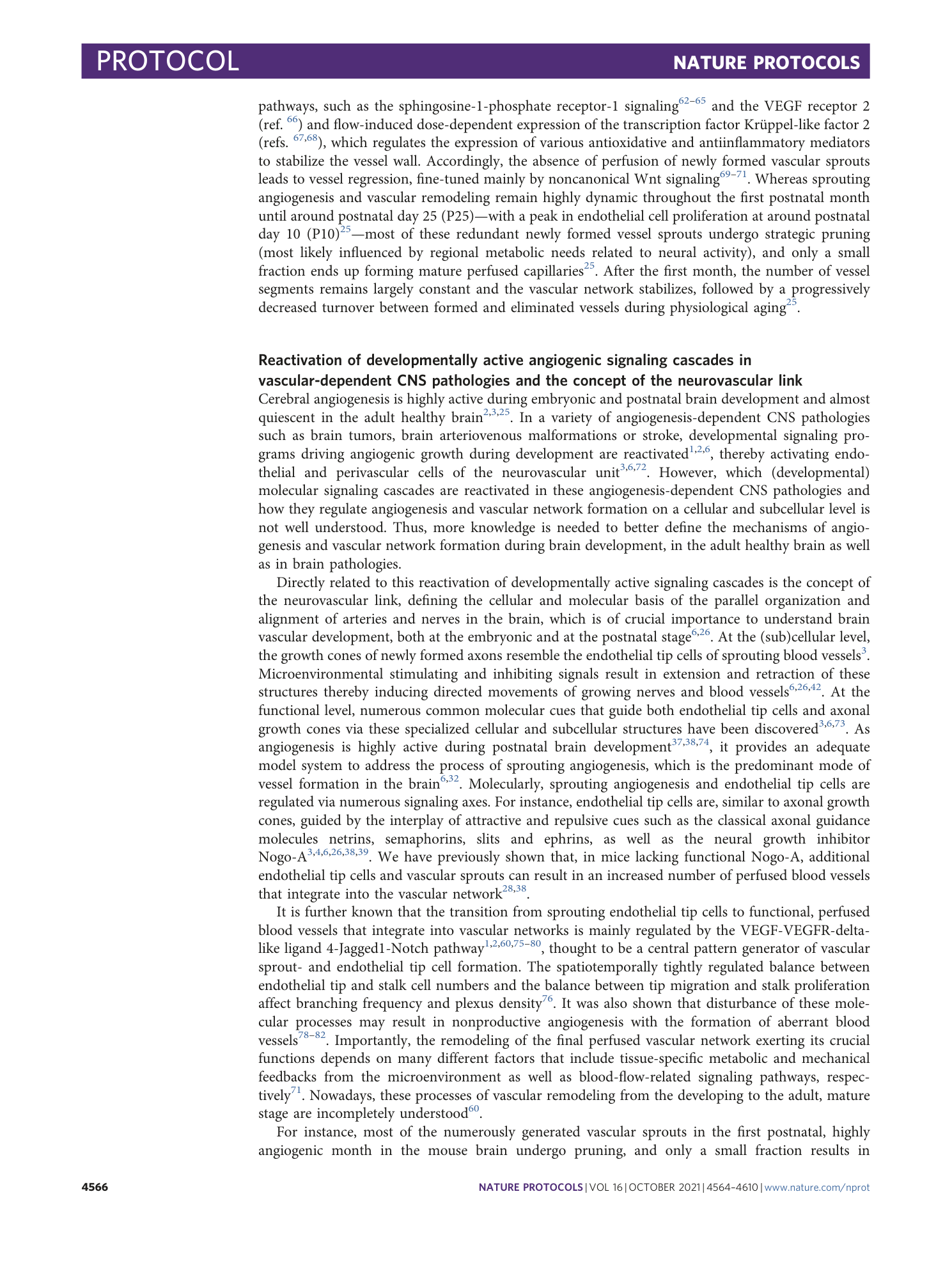 page-3