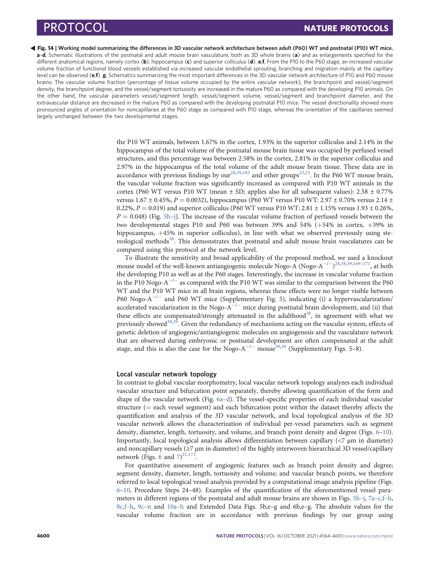 page-37