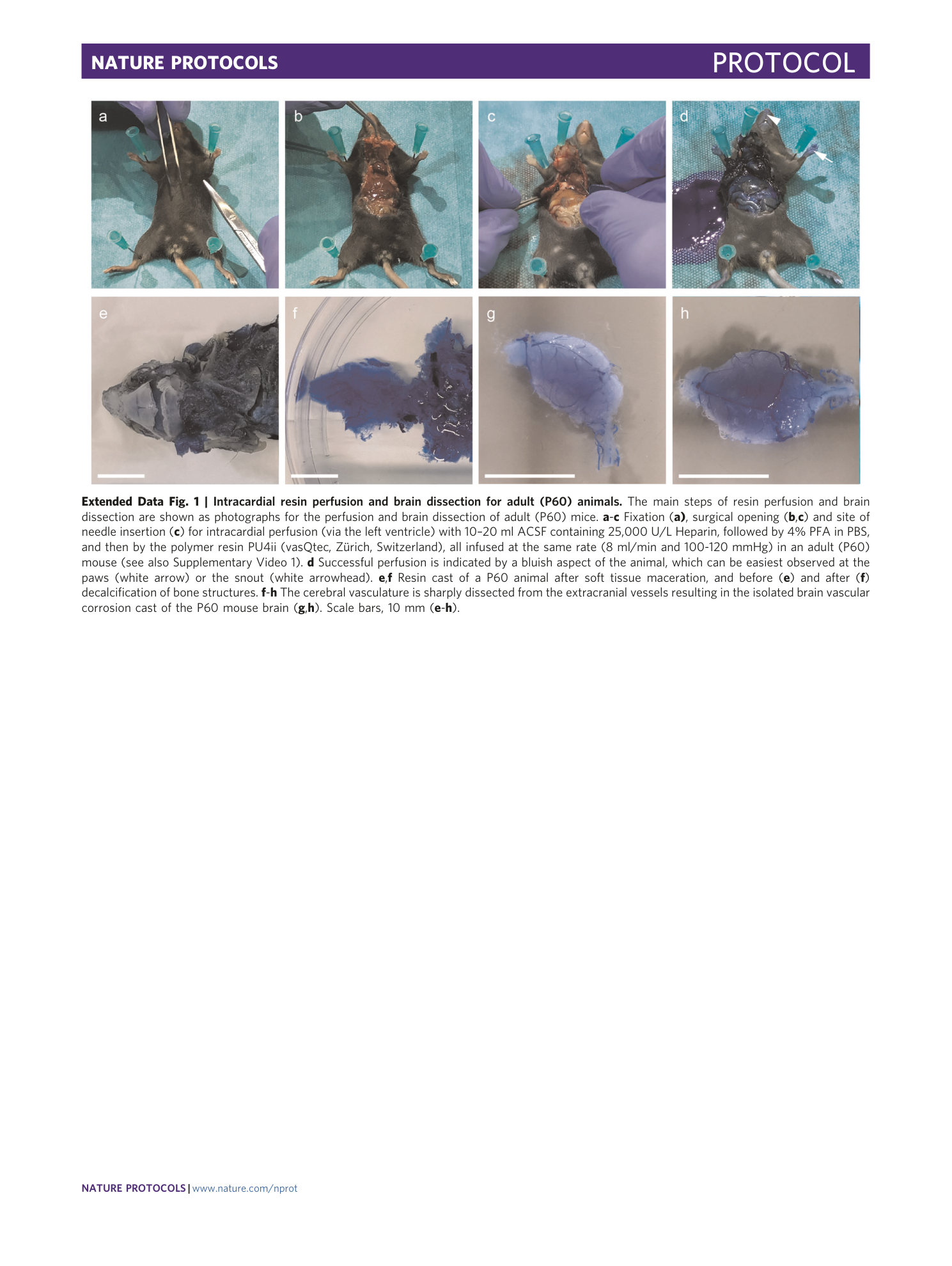 page-48