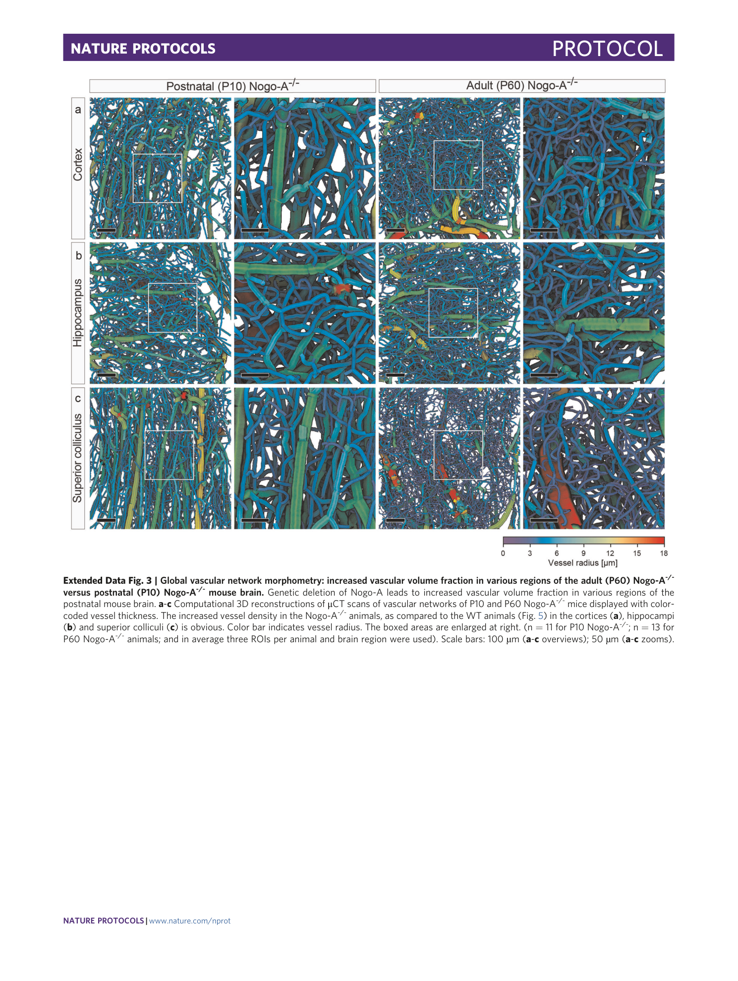 page-50
