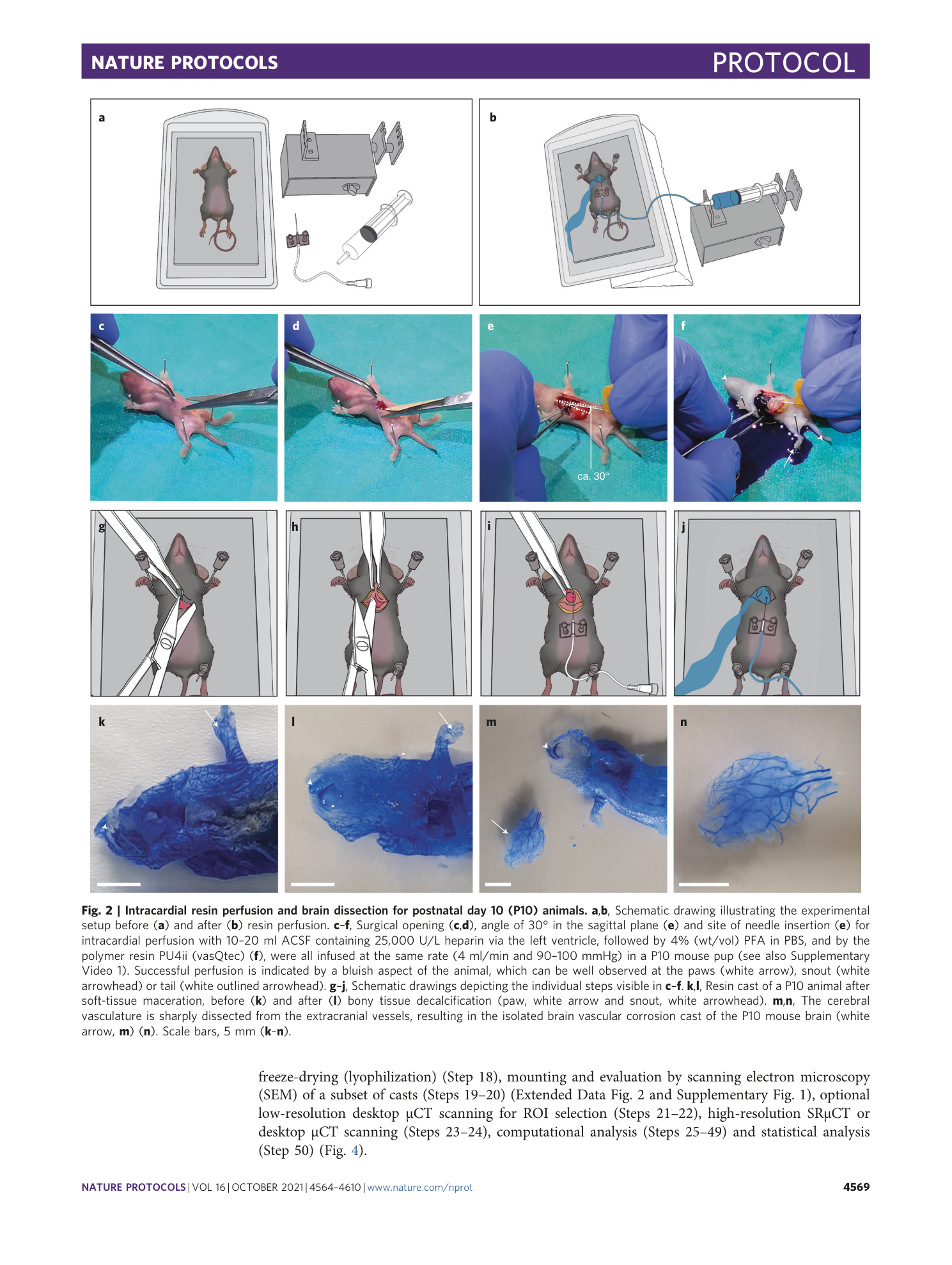 page-6