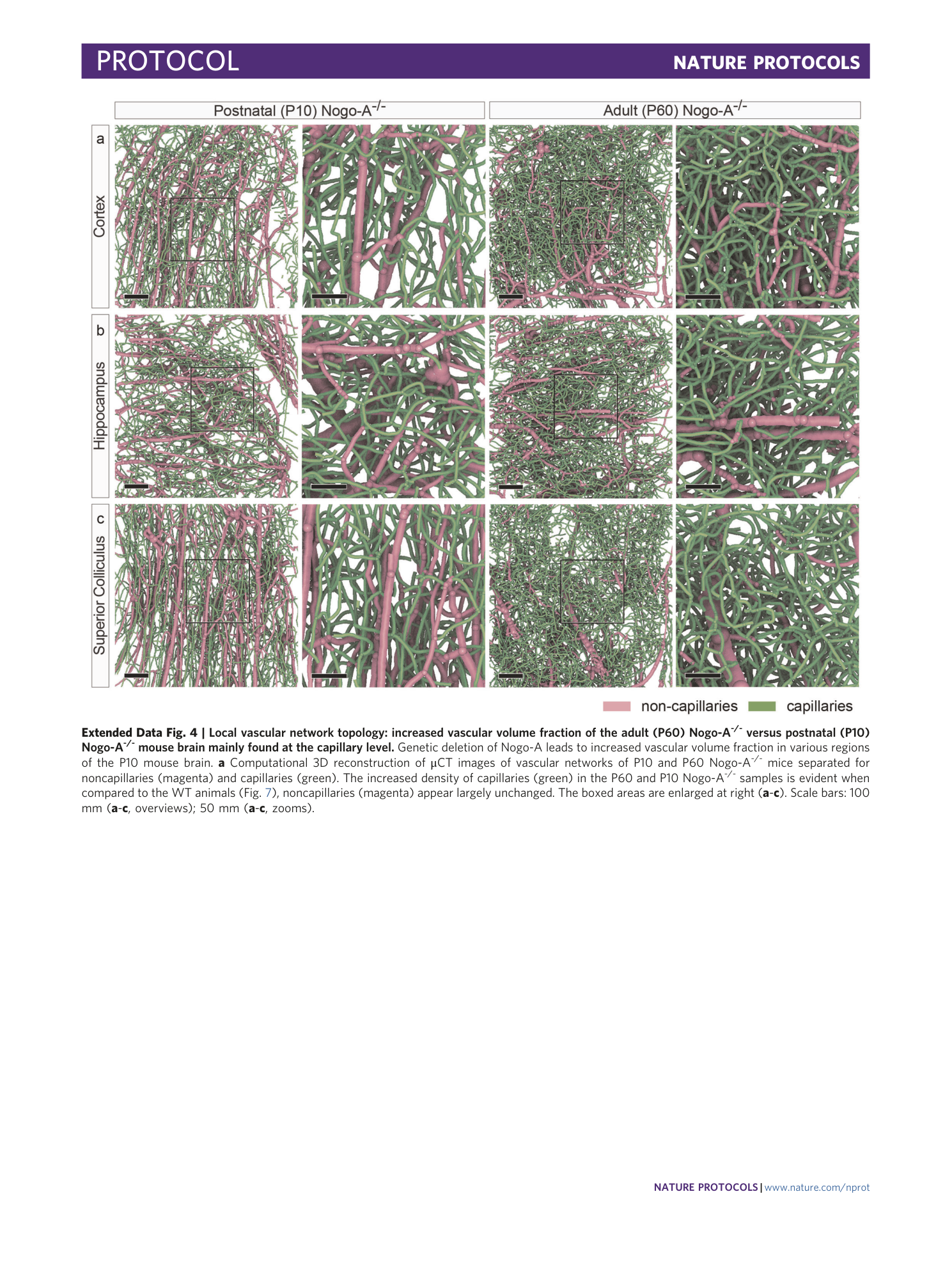 page-51