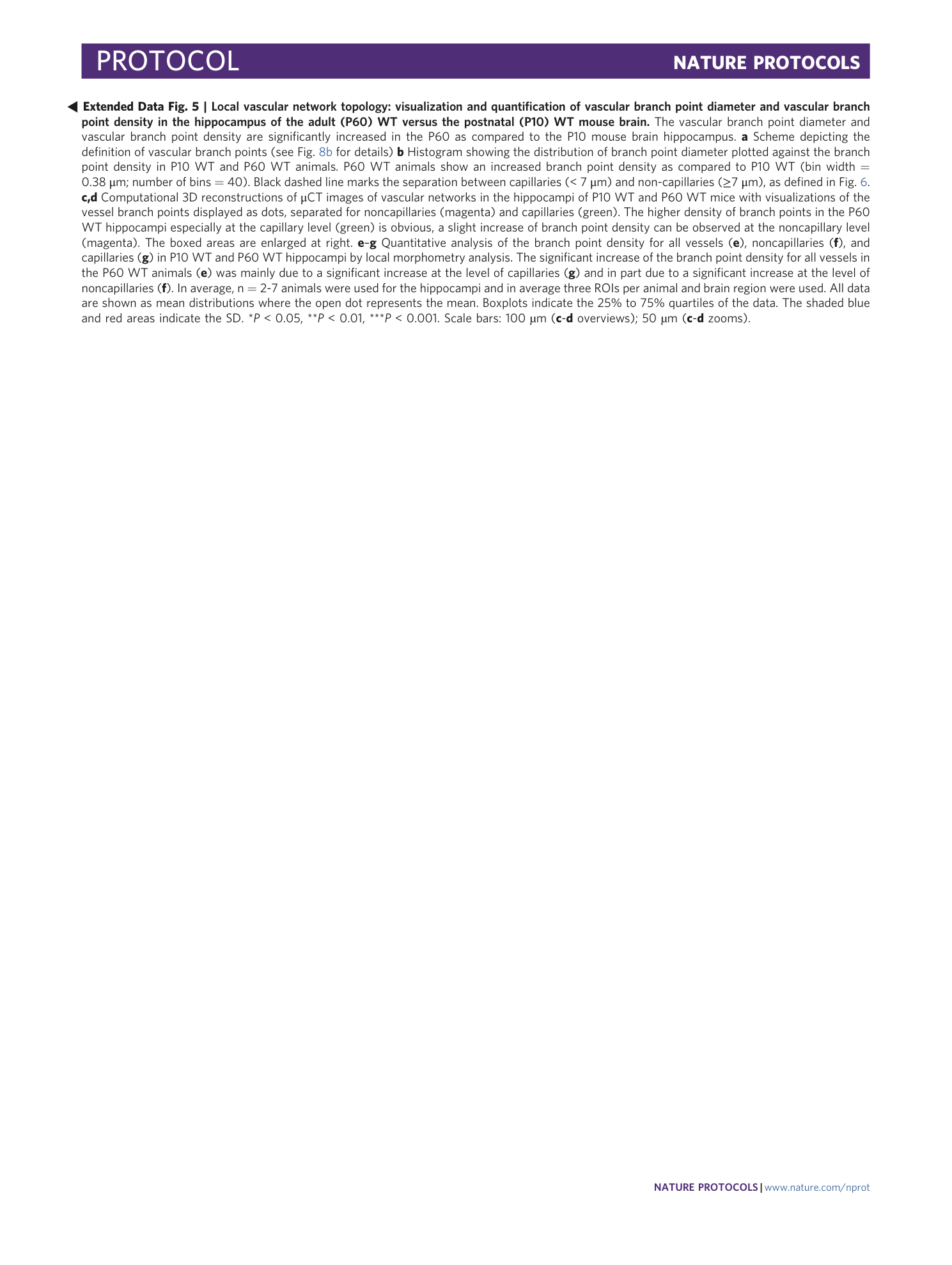 page-53